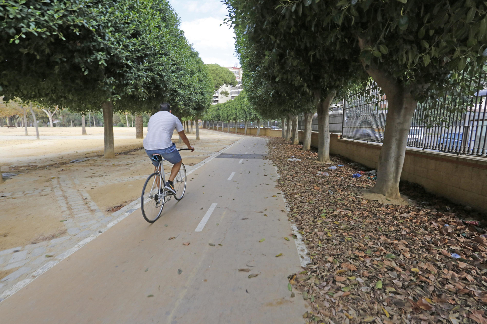 Un hombre transita con su bicicleta por el González Hontoria.