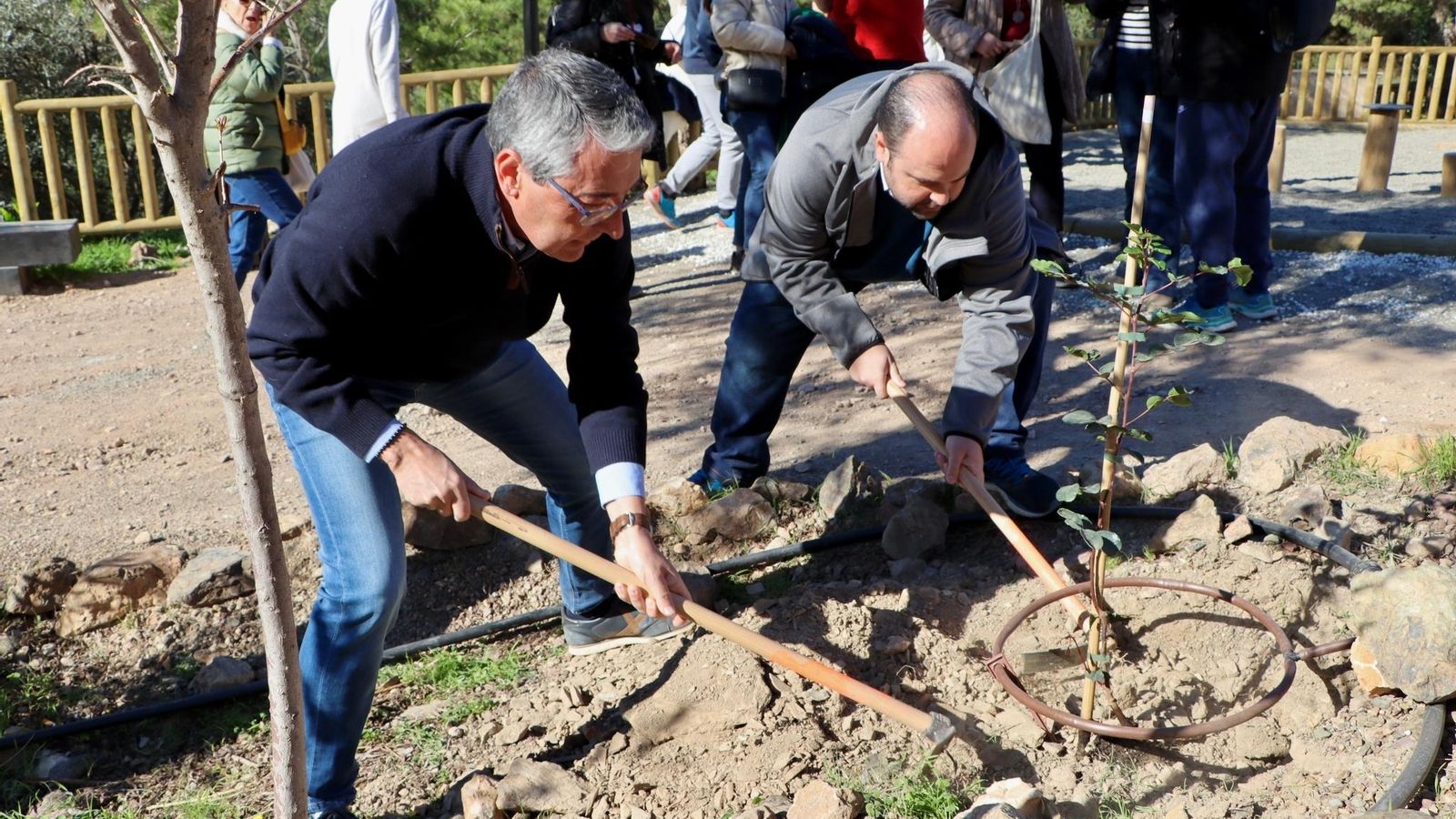 Durante la jornada de inauguración del Parque Forestal El Cantal se han plantado unas 140 especies.