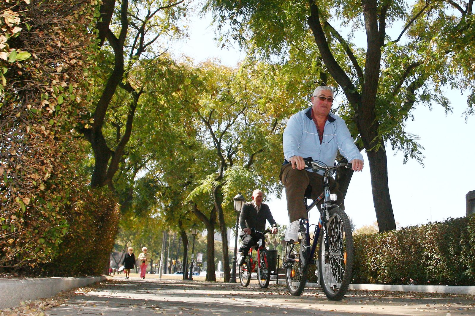 El ejercicio sin consejo profesional afecta al desgaste de las articulaciones.