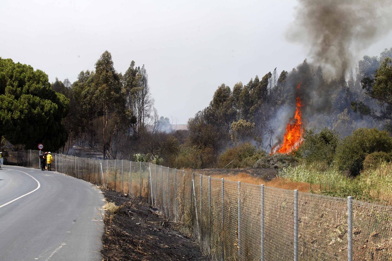 Agentes de la Policía Adscrita y especialistas del Plan Infoca intentan esclarecer el origen del fuego en una cuneta