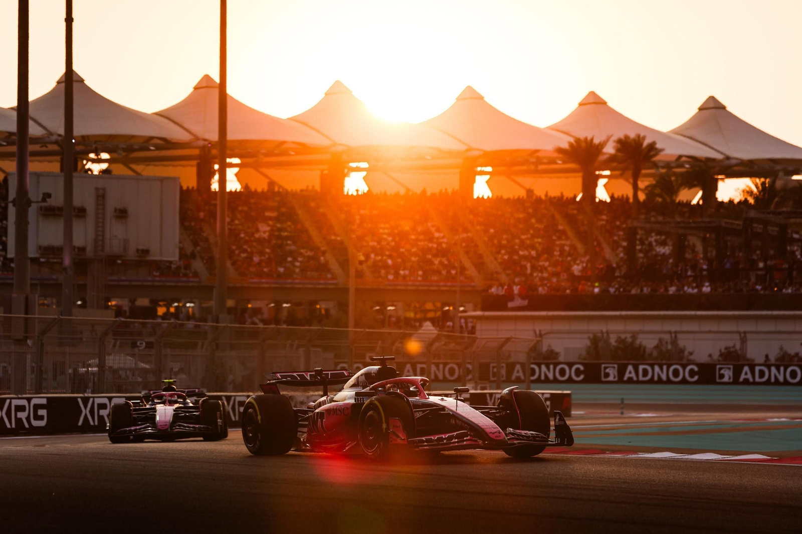 Las fotos del título mundial de Lando Norris en la Fórmula 1