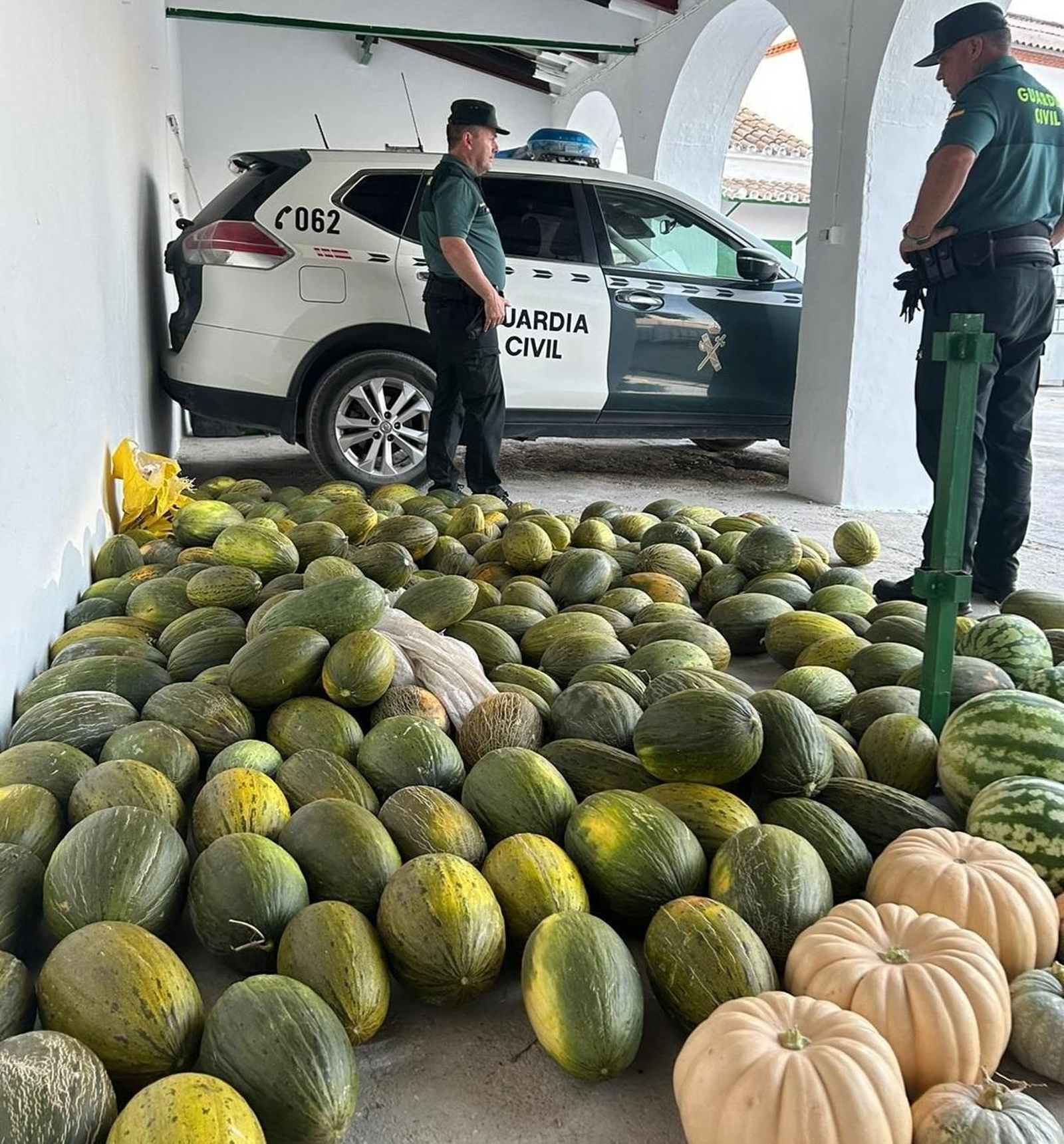 Melones y sandías recuperados por la Guardia Civil.