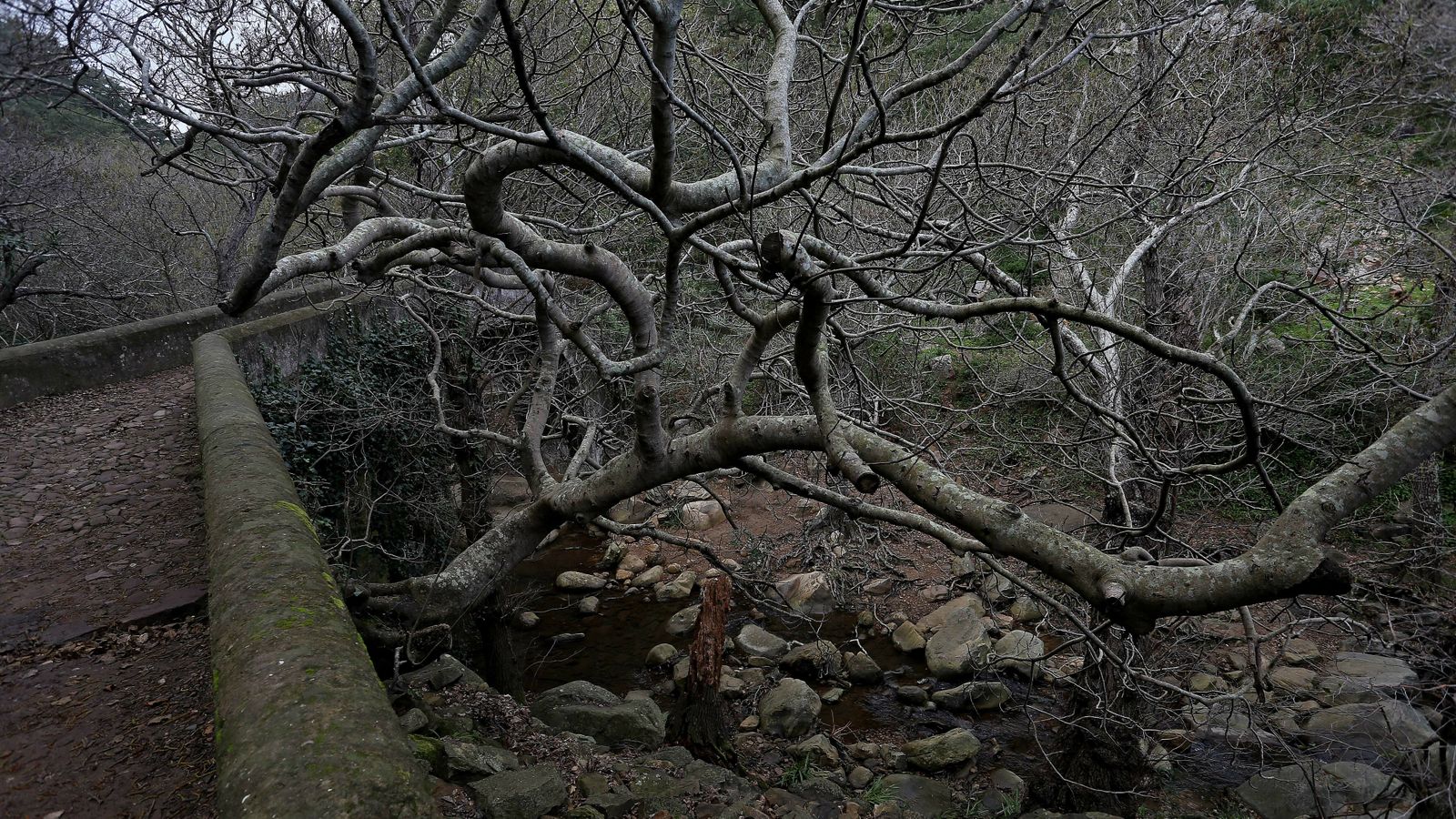 Las mejores fotos del sendero del Río de la Miel