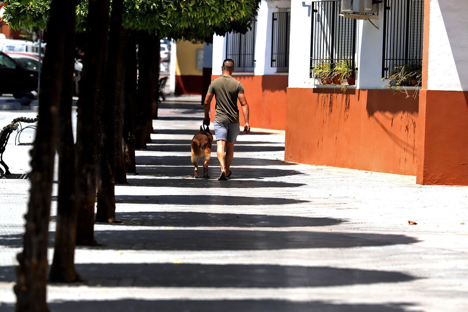 Hombre pasea a su perro por la sombra.