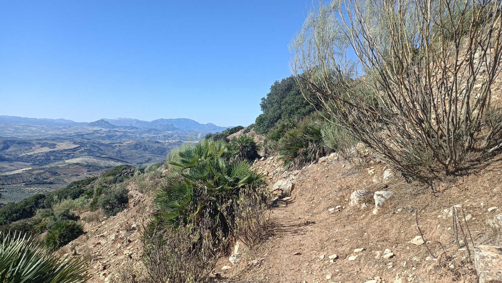 Fotos del ascenso al Pico del Terril