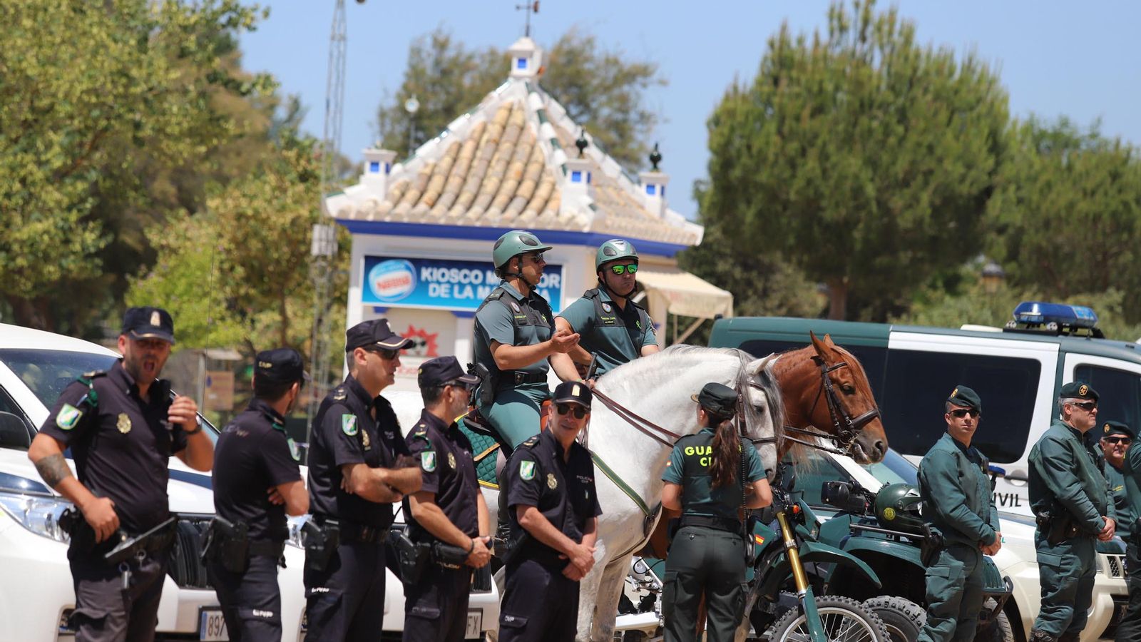 Efectivos de la Policía y de la Guardia Civil.