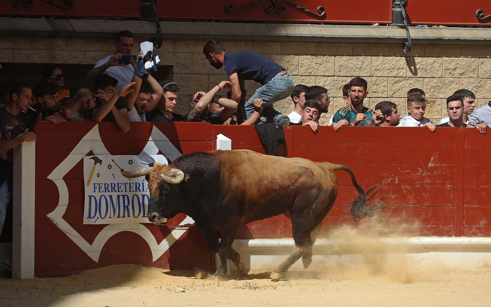 Las mejores fotos del Toro Embolao de Los Barrios 2024