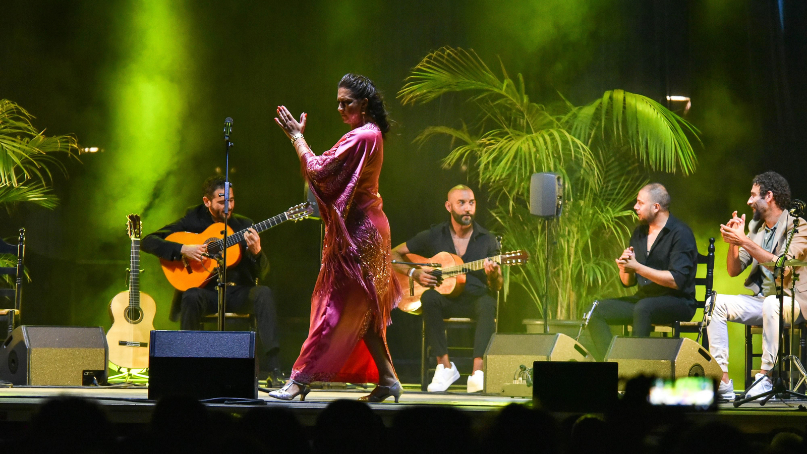 Fotos del concierto de Diego del Morao en el IX Encuentro Internacional de guitarra Paco de Lucía