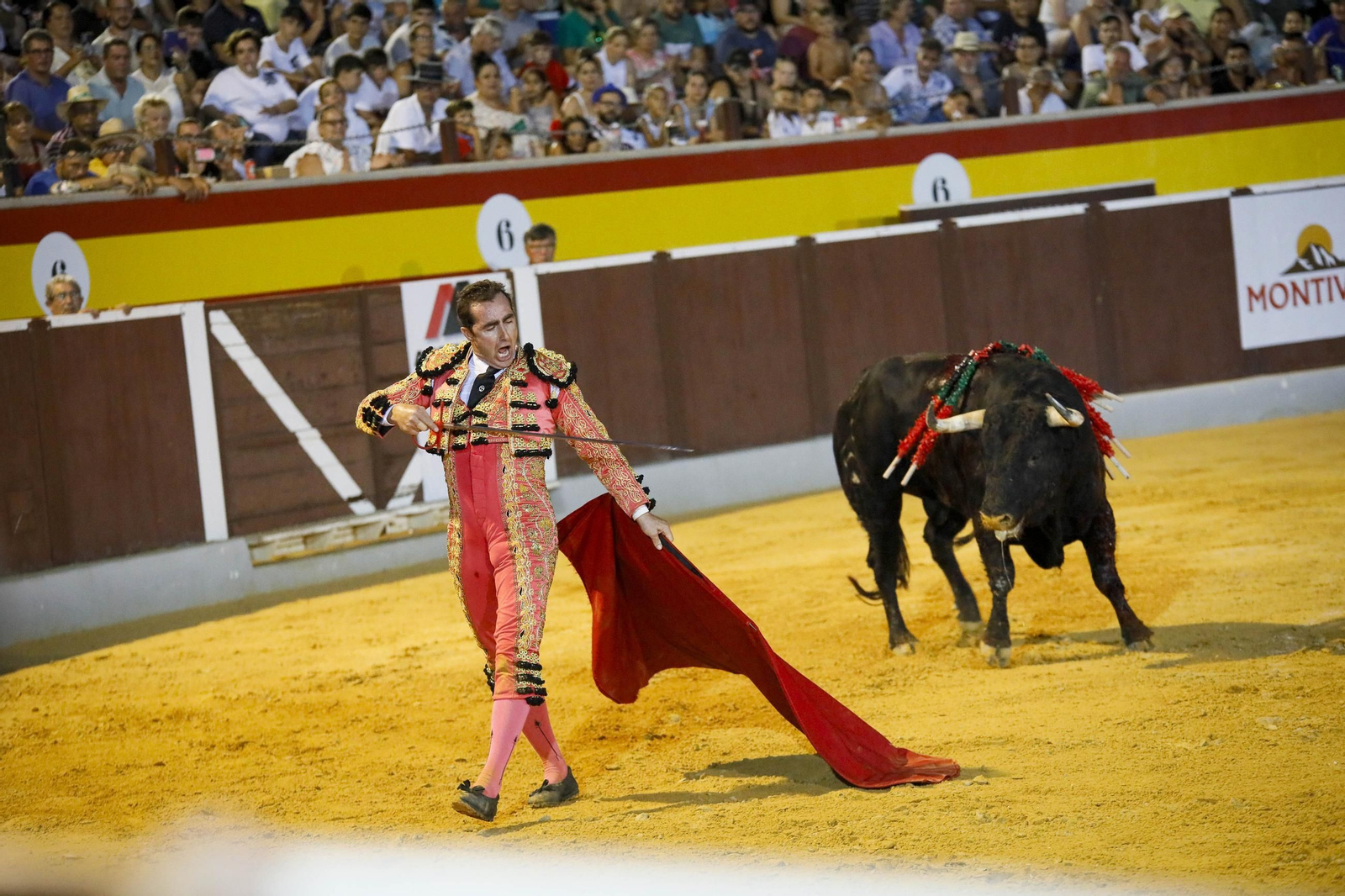 Corrida de toros Berja con un toro indultado, en imágenes