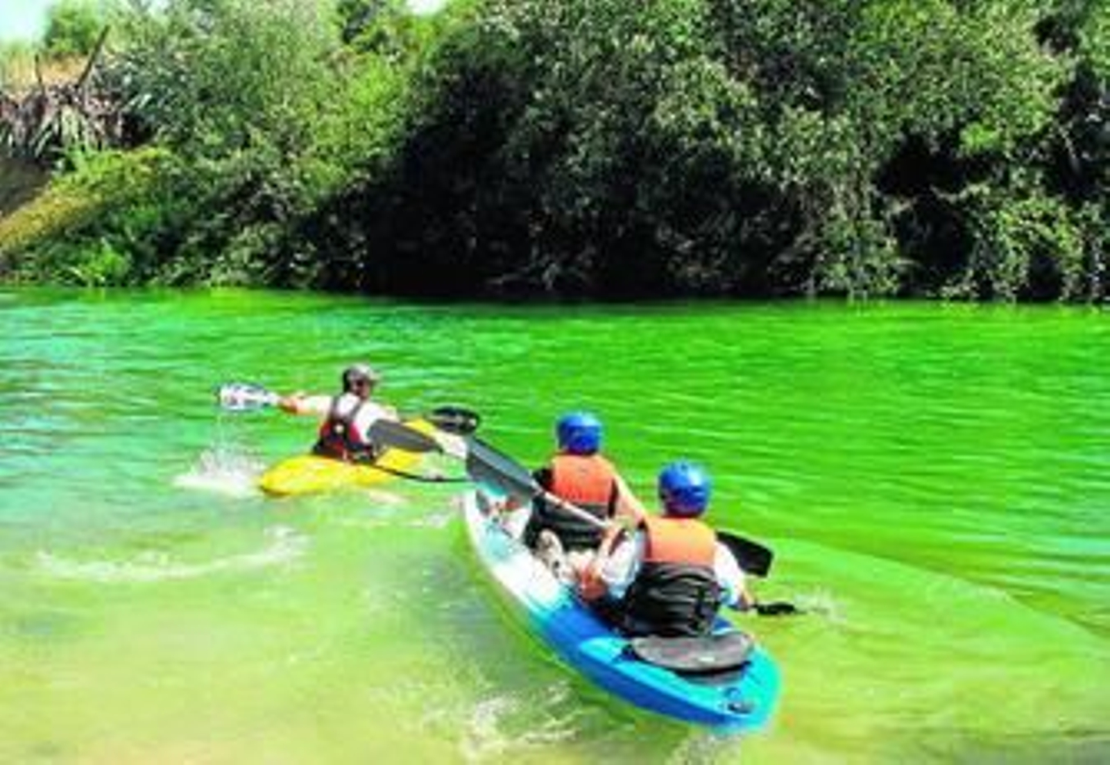A finales de julio se puso en marcha en el río Genil una ruta para potenciar el piragüismo.