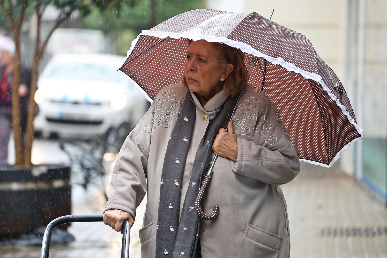 Las imágenes más destacadas del lunes 25 de noviembre en Huelva