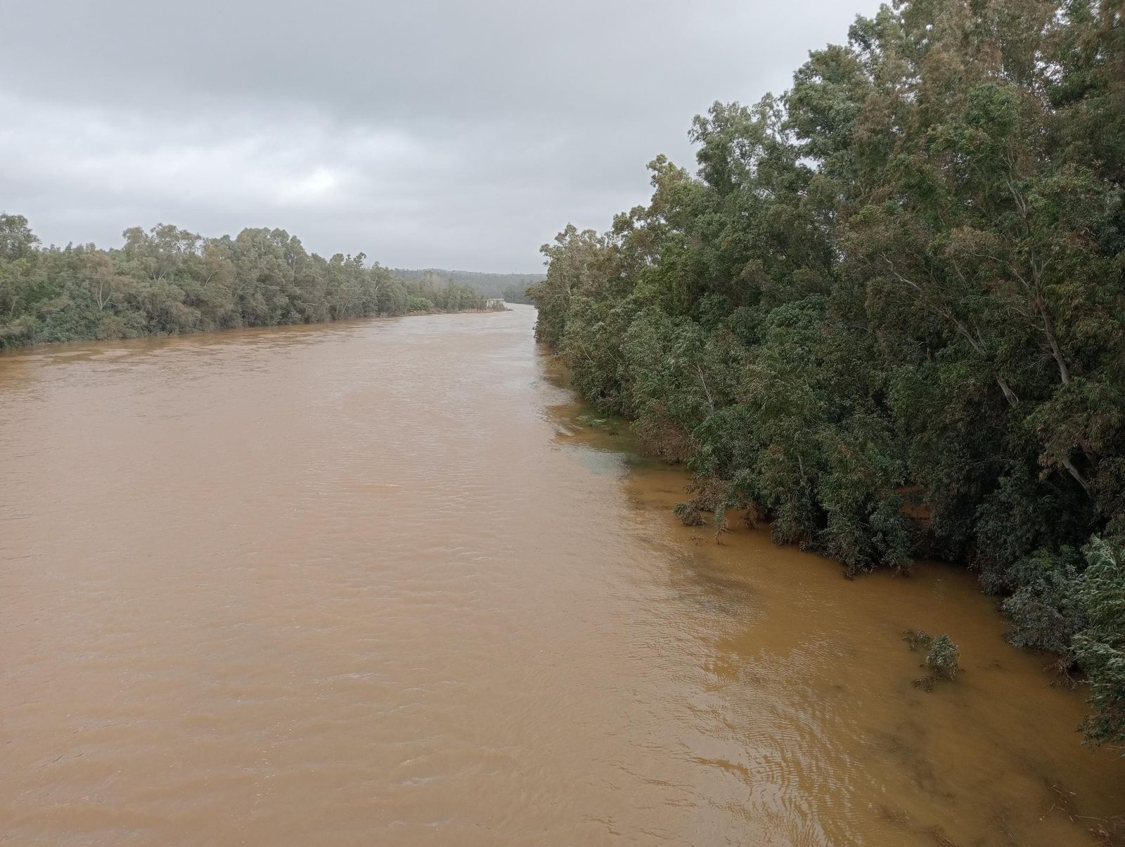 Las imágenes más destacadas del miércoles 22 de enero en Huelva