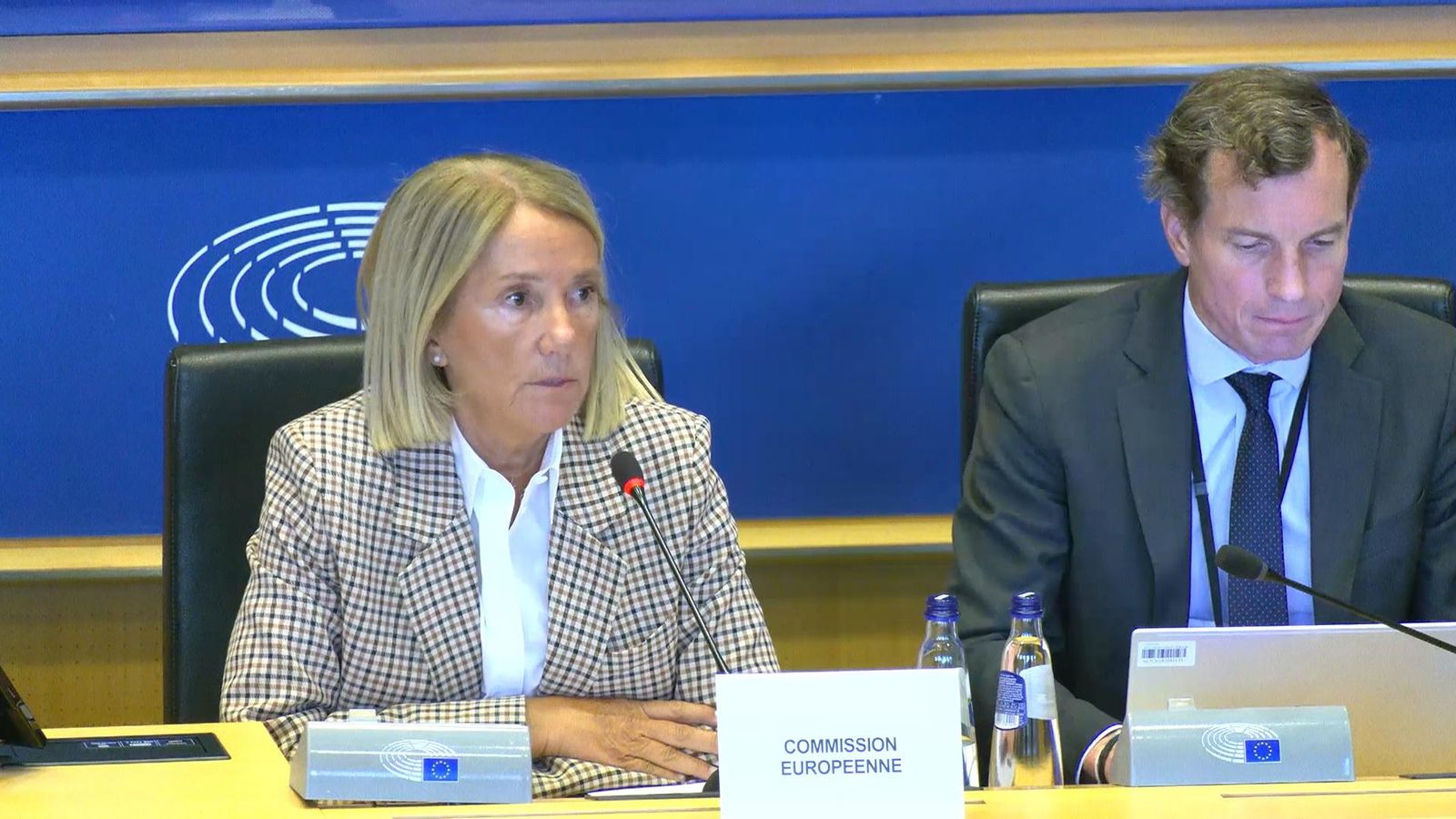 Clara Martínez Alberola, representante de la Comisión Europea y Jefa adjunta del Grupo de Trabajo sobre el Reino Unido.