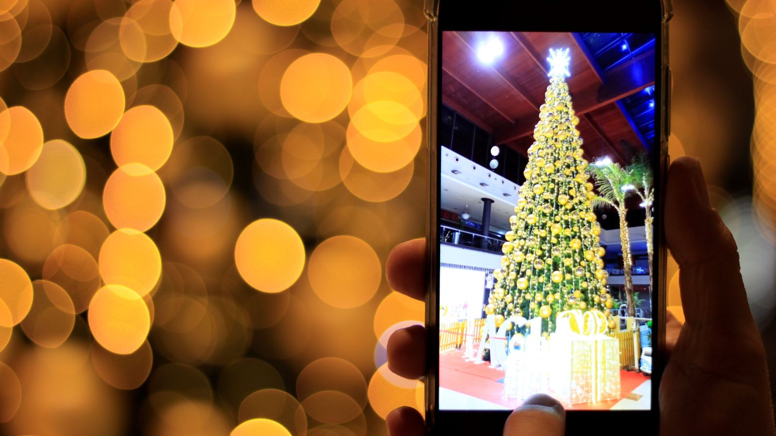 Tercer premio Rally Fotográfico.