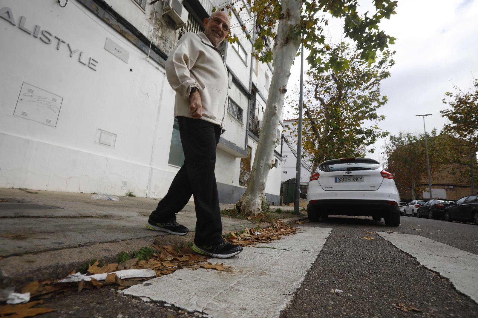 Imágenes de algunos de los pasos de peatones de Córdoba en los que se mejorará la accesibilidad