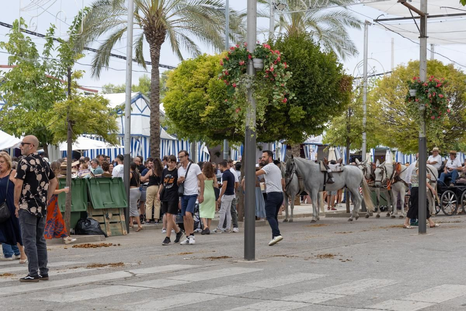 Feria y fiestas en honor a San Eufrasio, Andújar, en imágenes