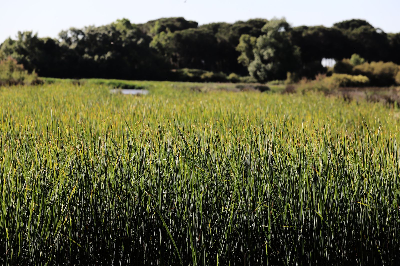 Imágenes del sábado 15 de mayo en Huelva