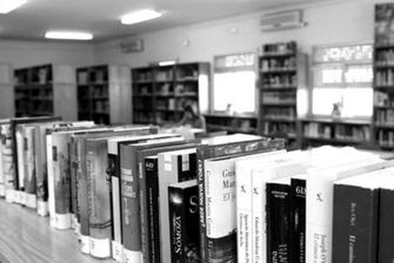 Imagen de la biblioteca de Los Barrios.