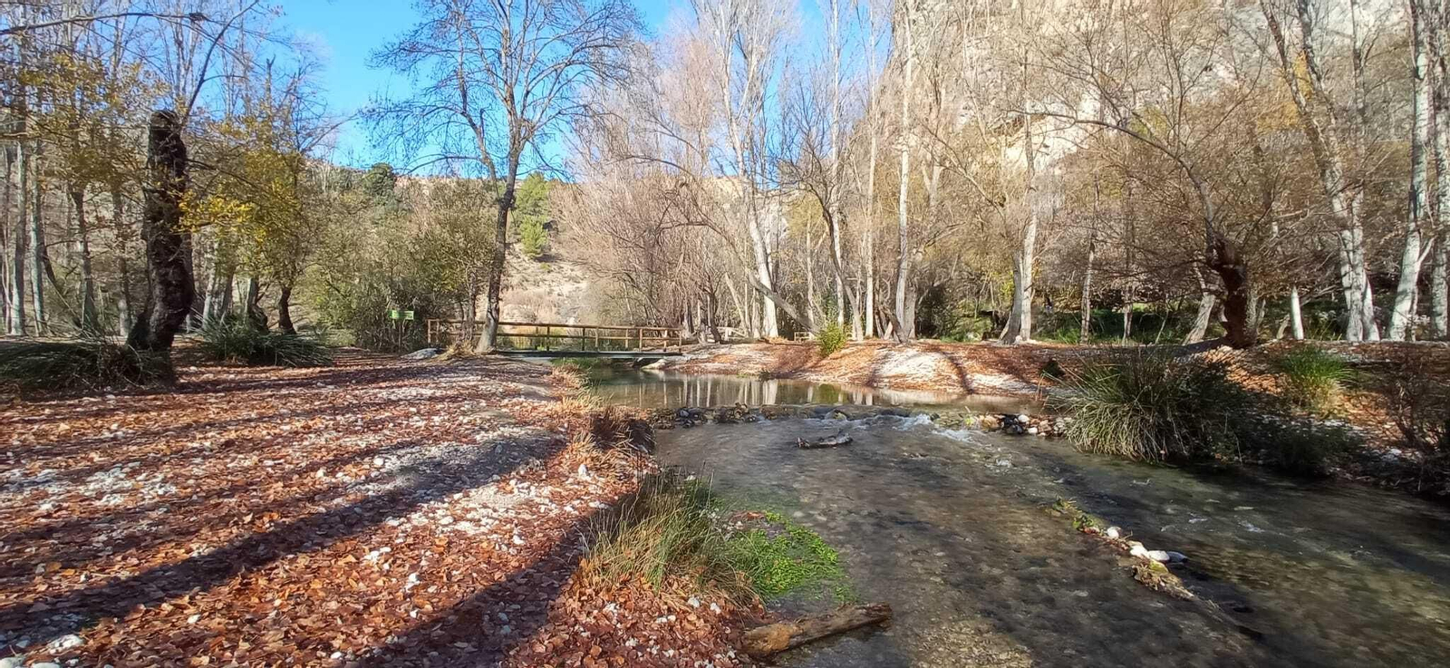 Las imágenes de la ruta del Bosque Encantado de Higueras