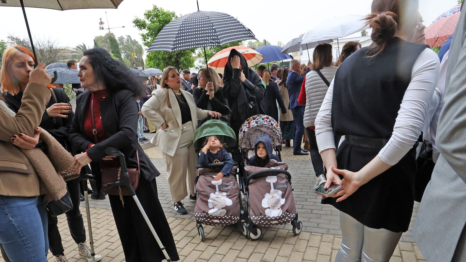 Domingo de Ramos: Hermandad del Perdón