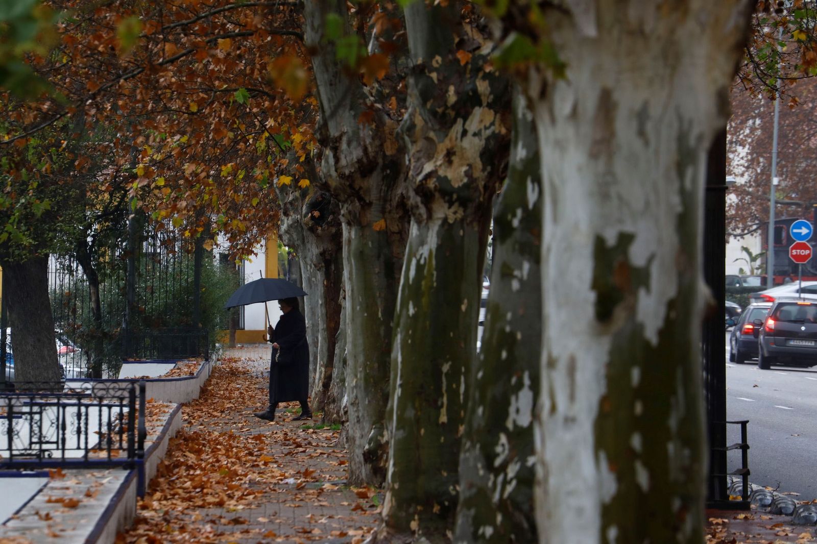 El paso de la borrasca Goretti por Córdoba