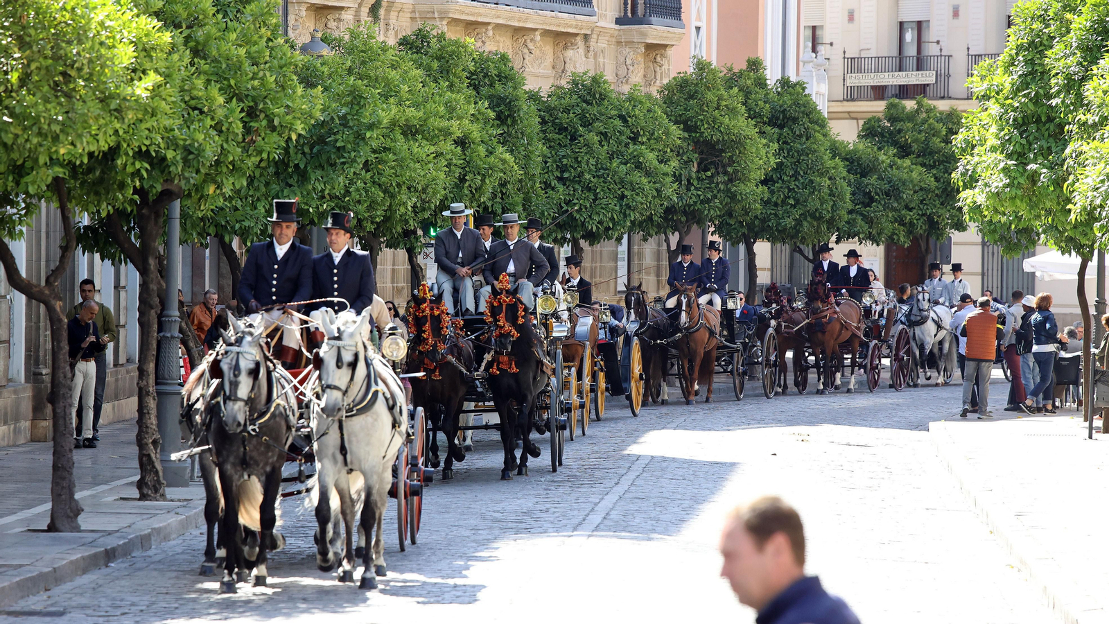 'Los carruajes de la integración' con jóvenes de Cedown y Aspanido por Jerez