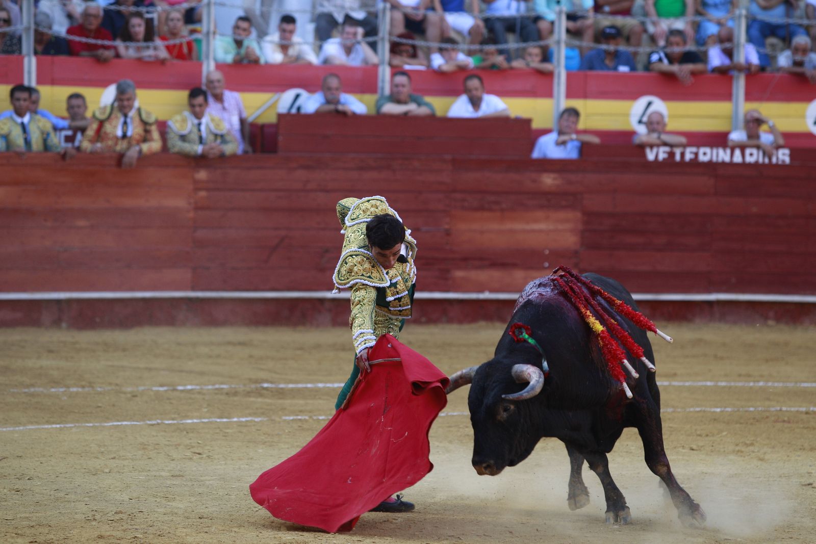 Imágenes de la corrida de toros del jueves en la Feria de Almería 2024