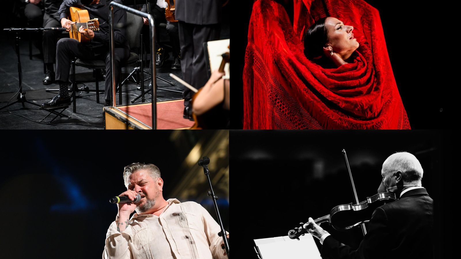 Artistas que participarán este viernes en el acto de #ObjetivoAlmeríaAVE