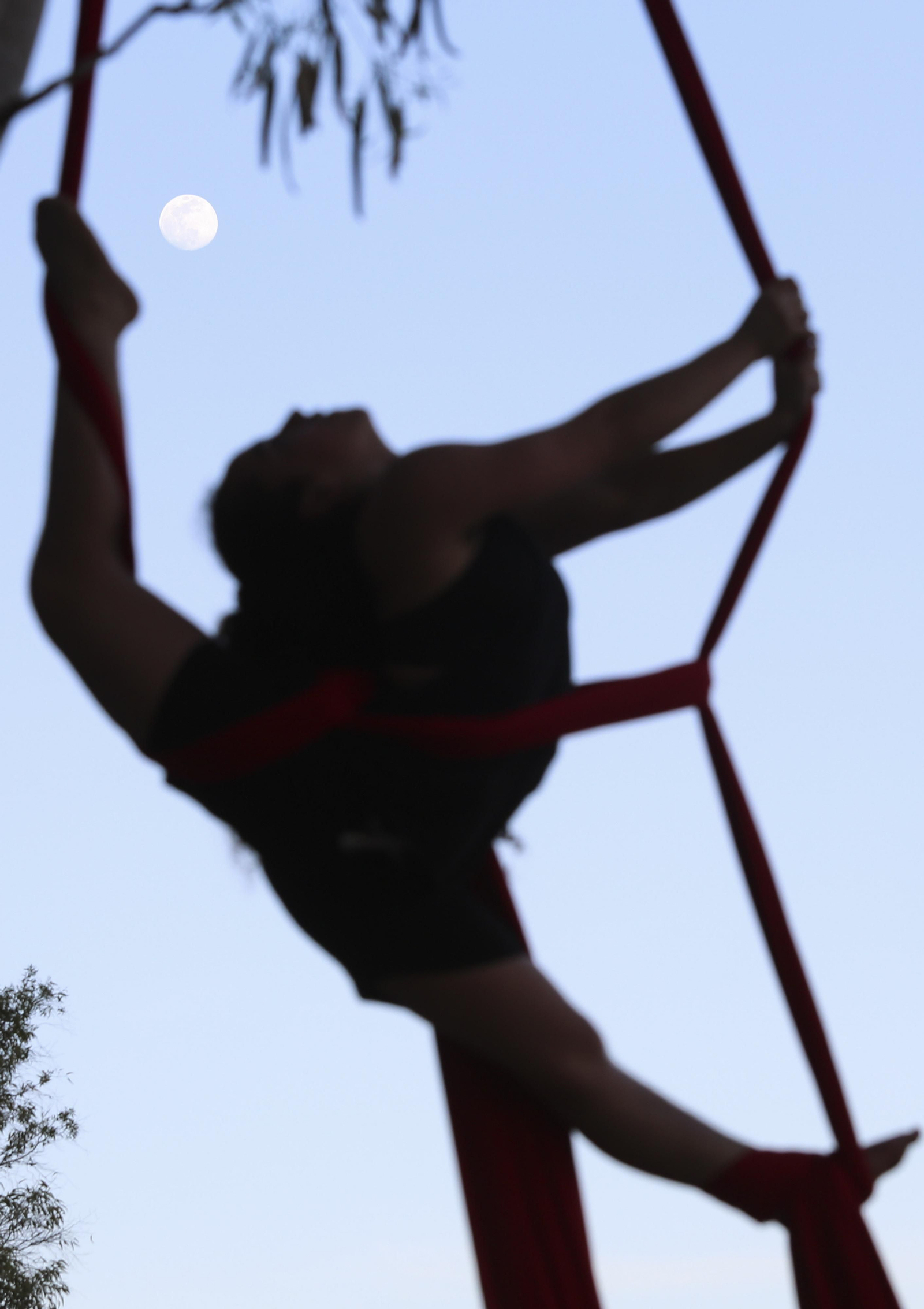 Las fotos de las concentraciones en el paseo marítimo de Málaga