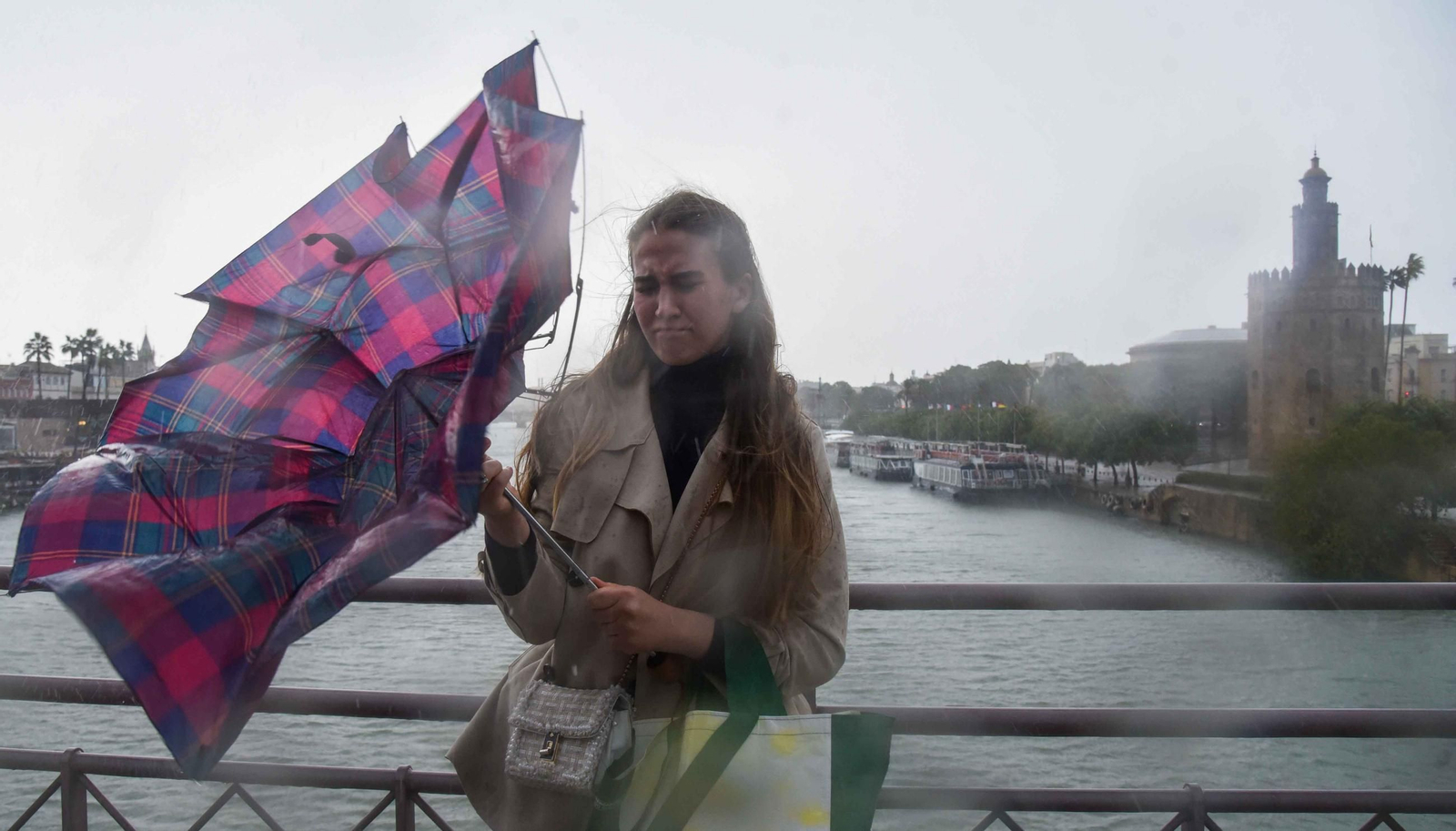 El paso de la Borrasca Claudia por Sevilla en imágenes