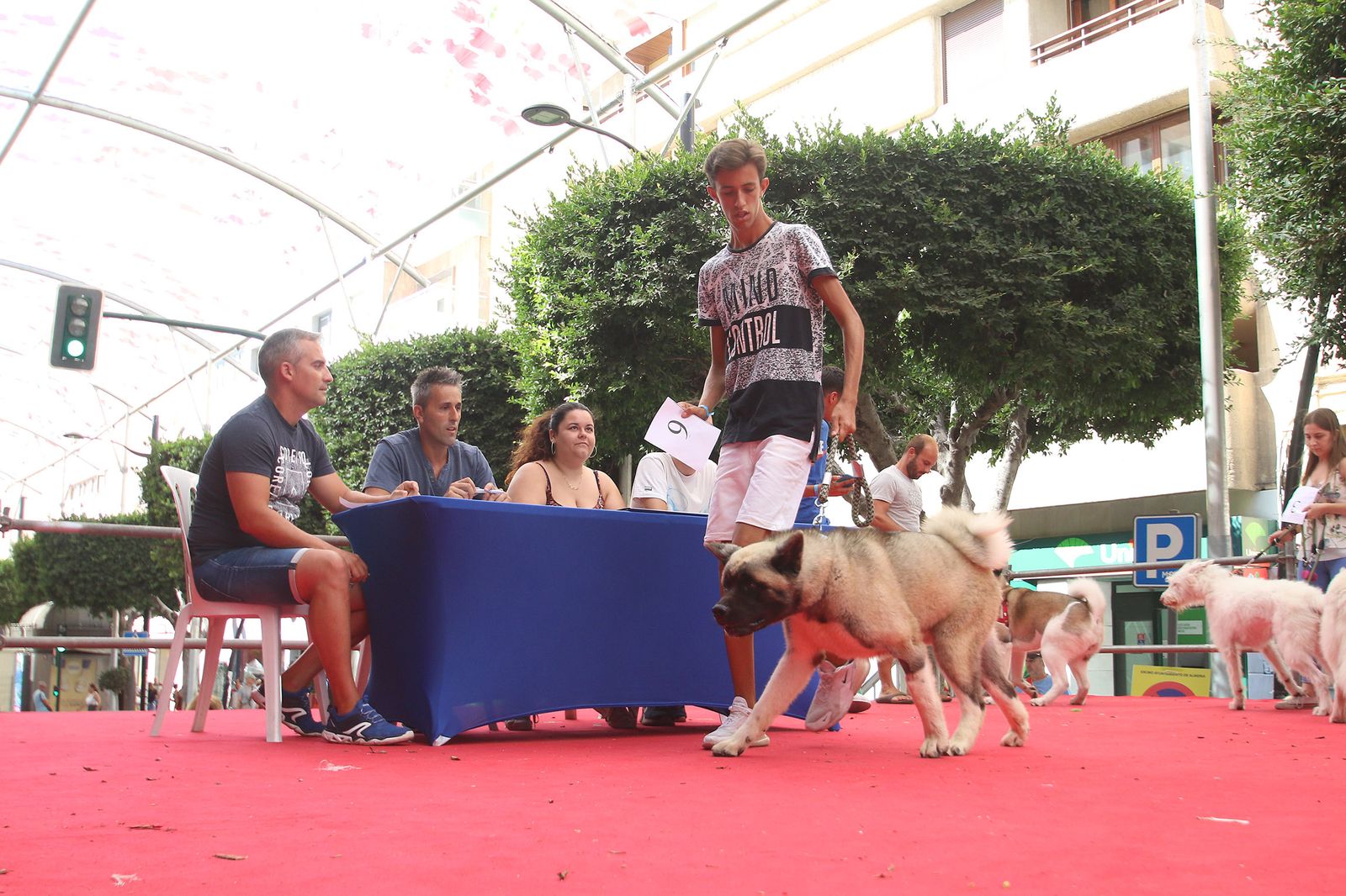 Fotogalería del concurso canino. Feria de Almería 2019