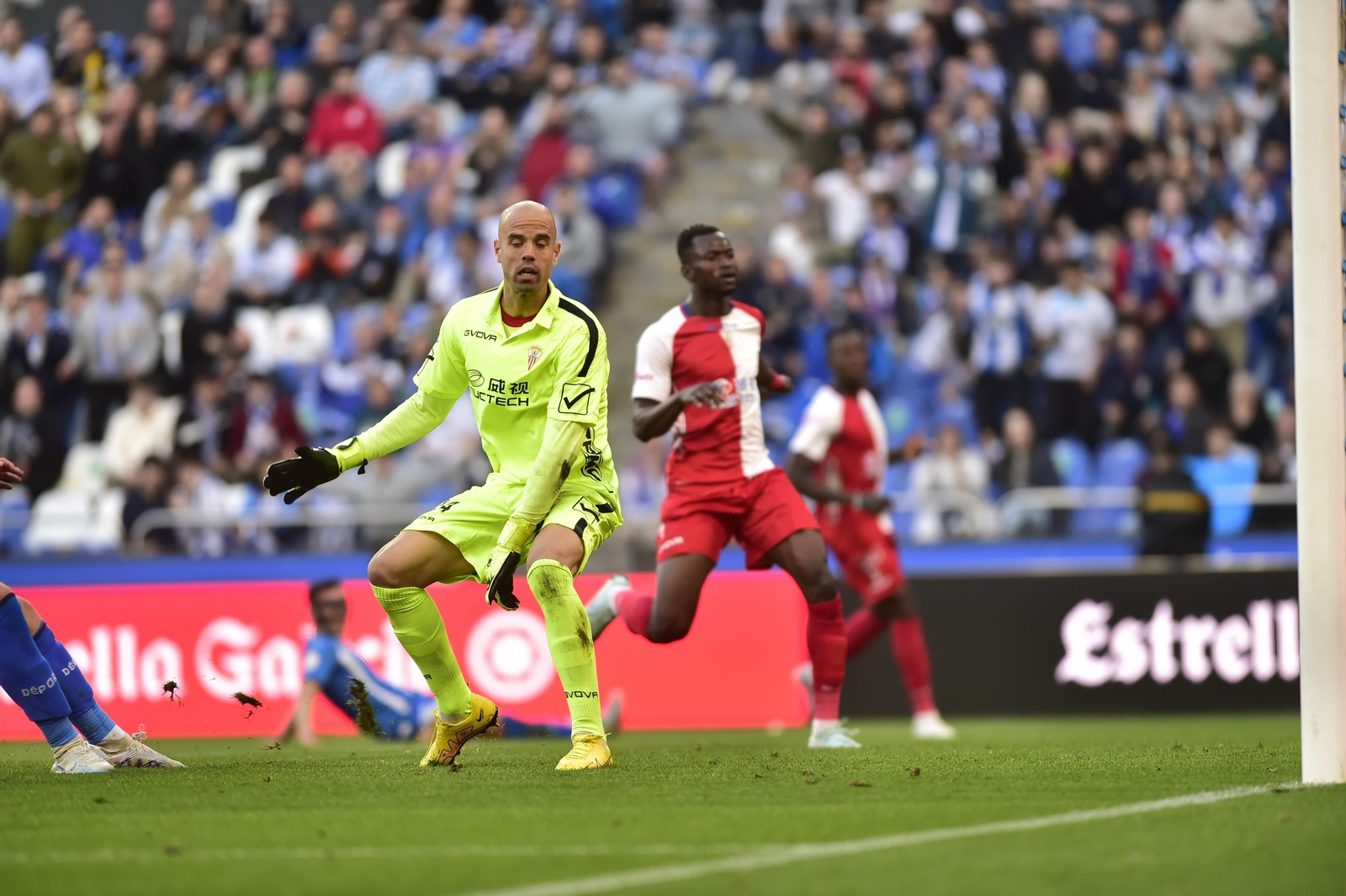 Las fotos del Deportivo de La Coruña - Algeciras CF