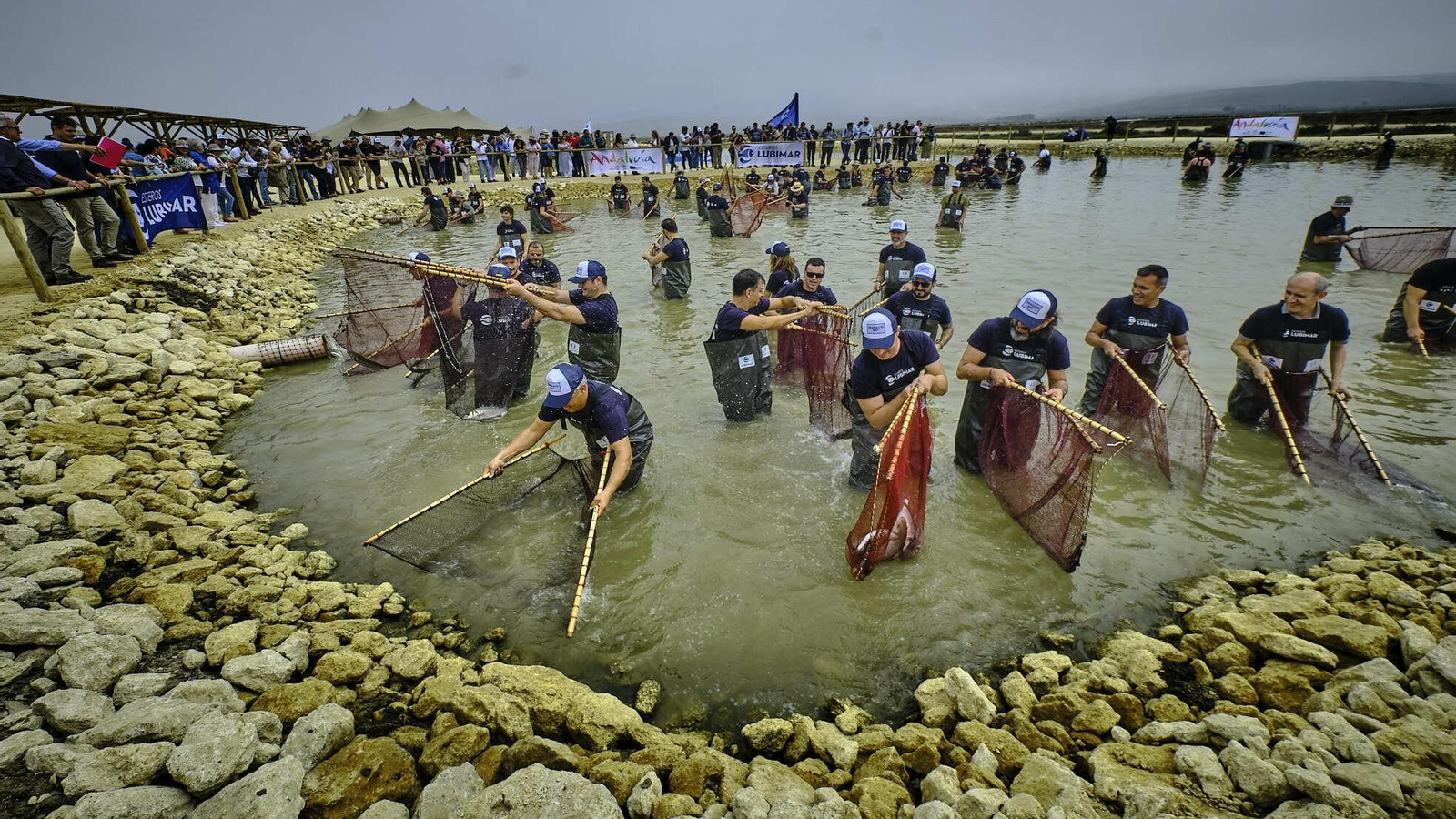 Despesque Aponiente - Ángel León 2019