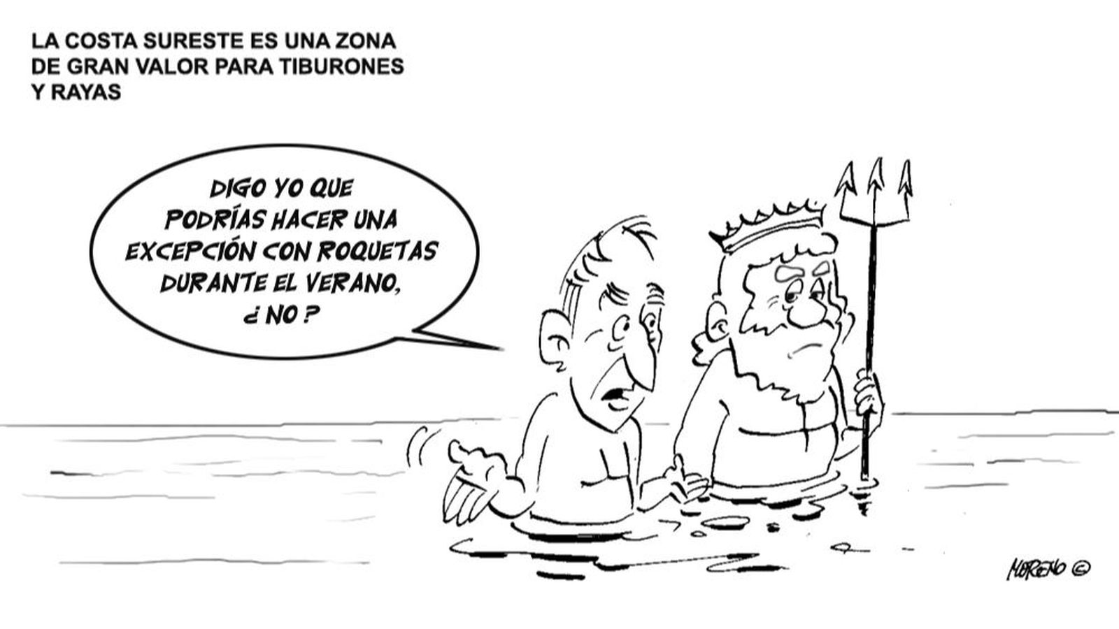 Tiburones en el sureste