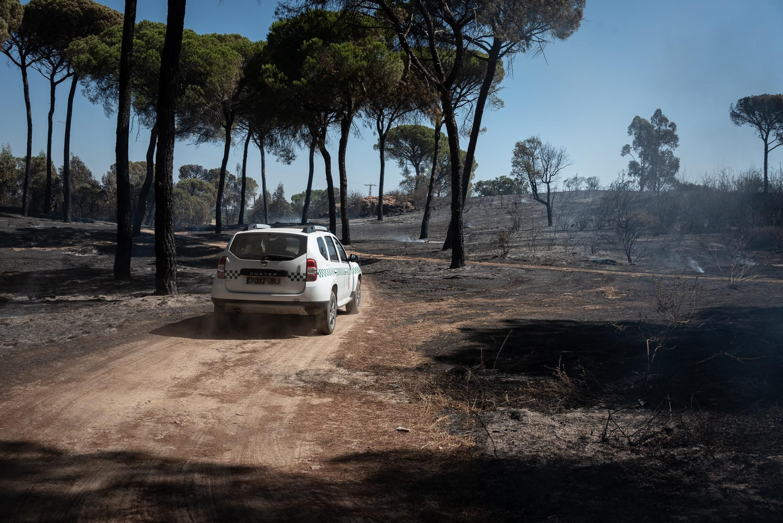 Imágenes de las labores de extinción del incendio de Bonares