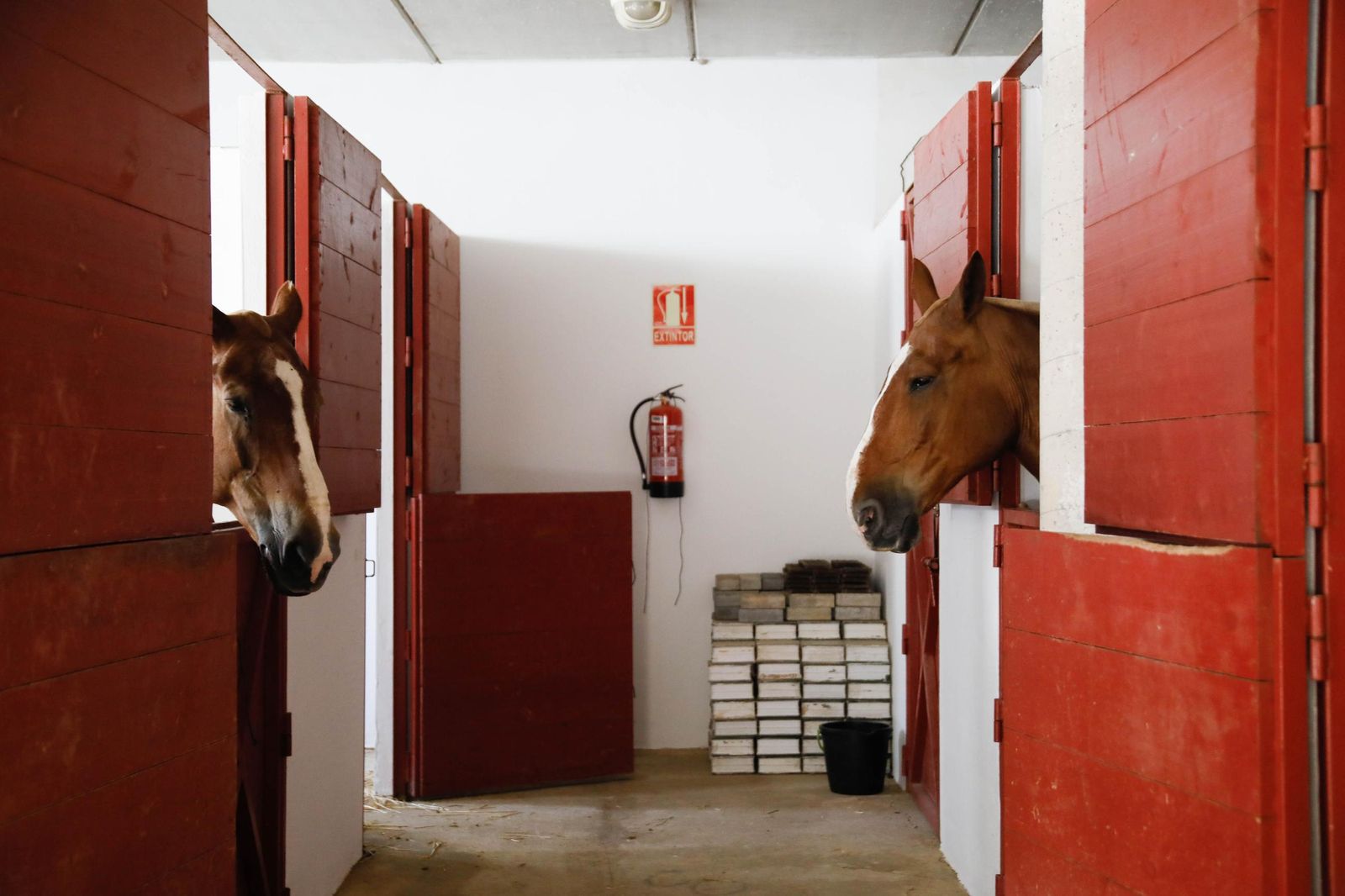 Corrida de toros en Roquetas, en imágenes