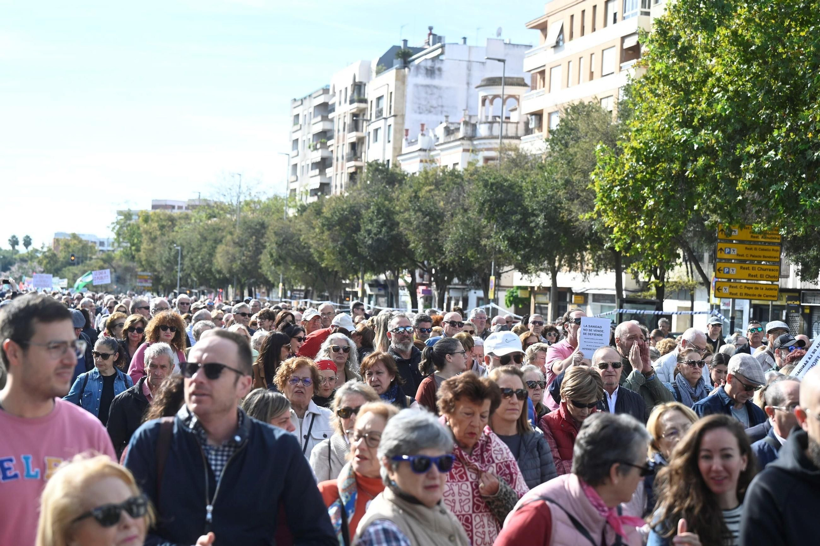 La manifestación en defensa de la sanidad pública en Córdoba