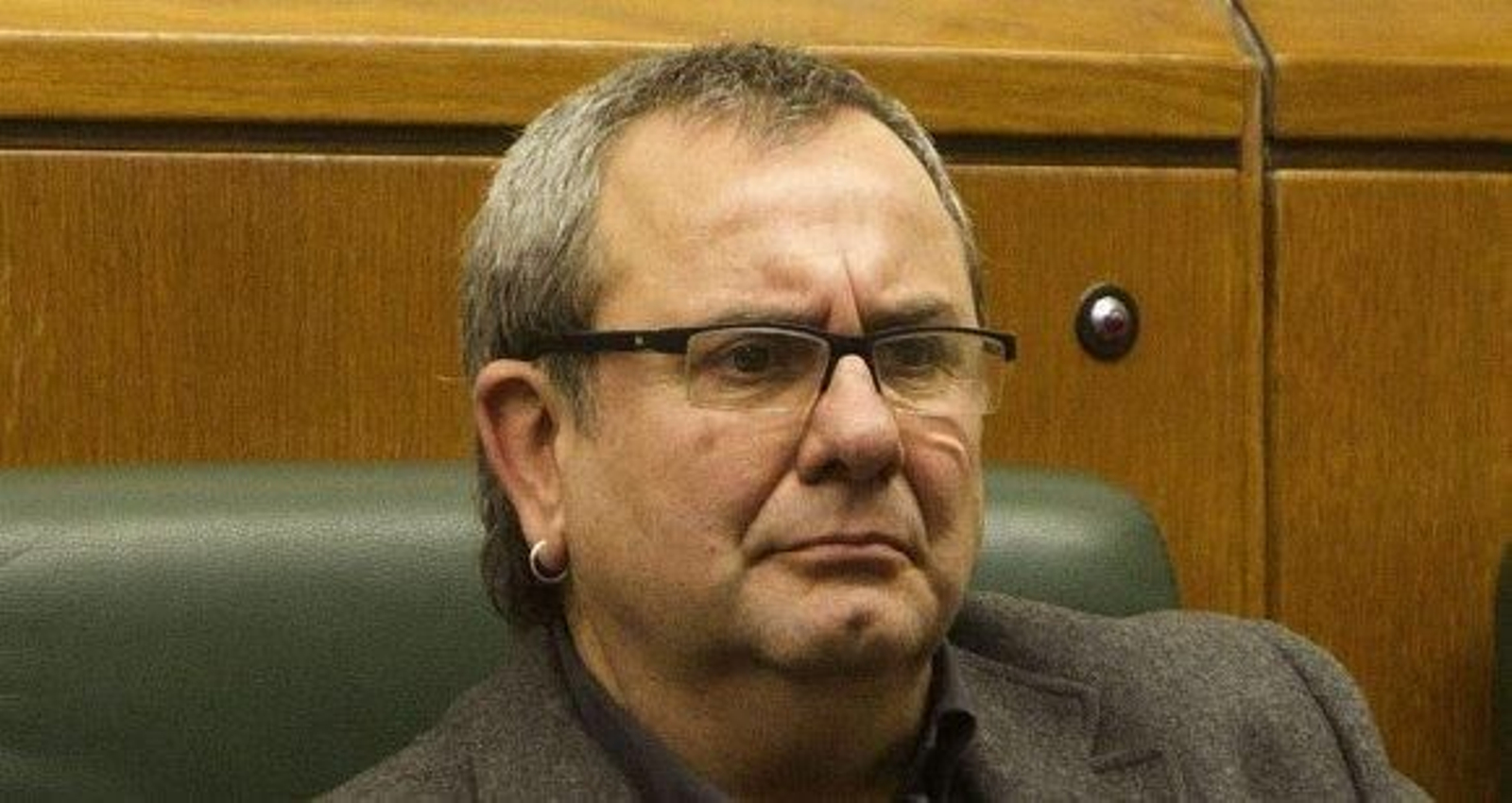 El juez propone al Supremo imputar al senador de EH Bildu Iñaki Goioaga por pertenencia a ETA