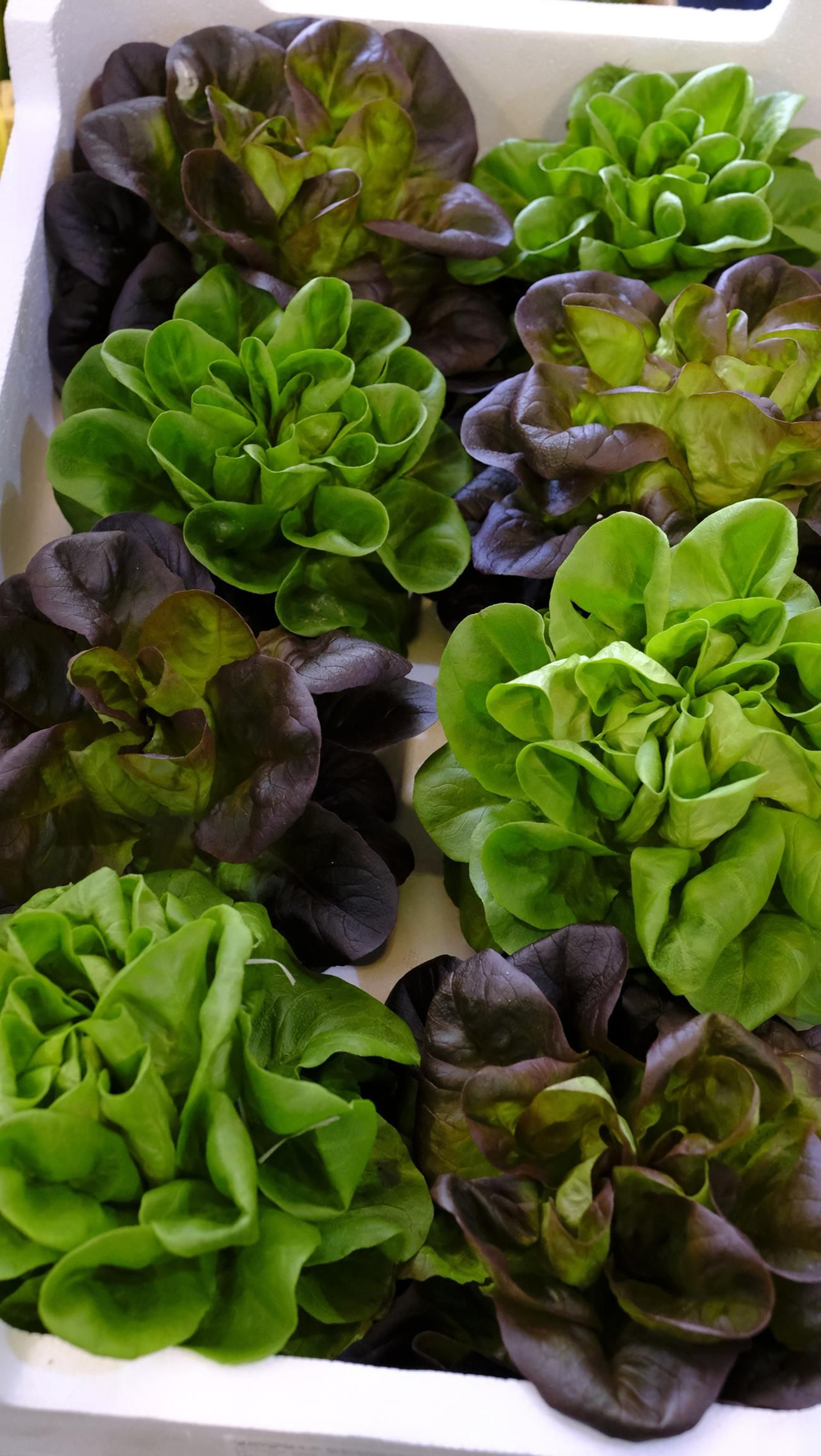 Cuatro fruterías de Almería con sabor a huerto