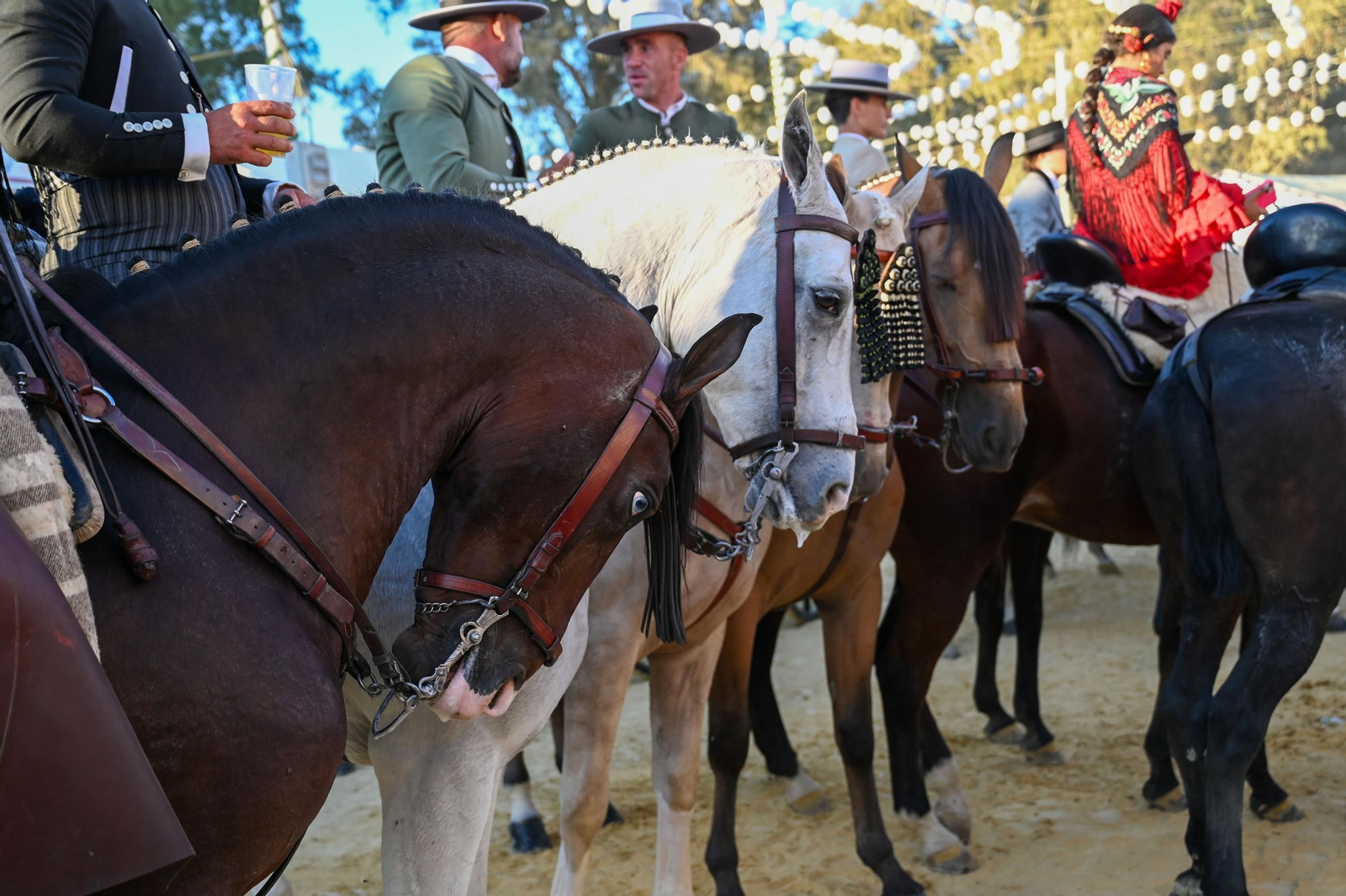 Imágenes del ambiente nocturno del 11 de octubre en la Feria del Caballo 2025