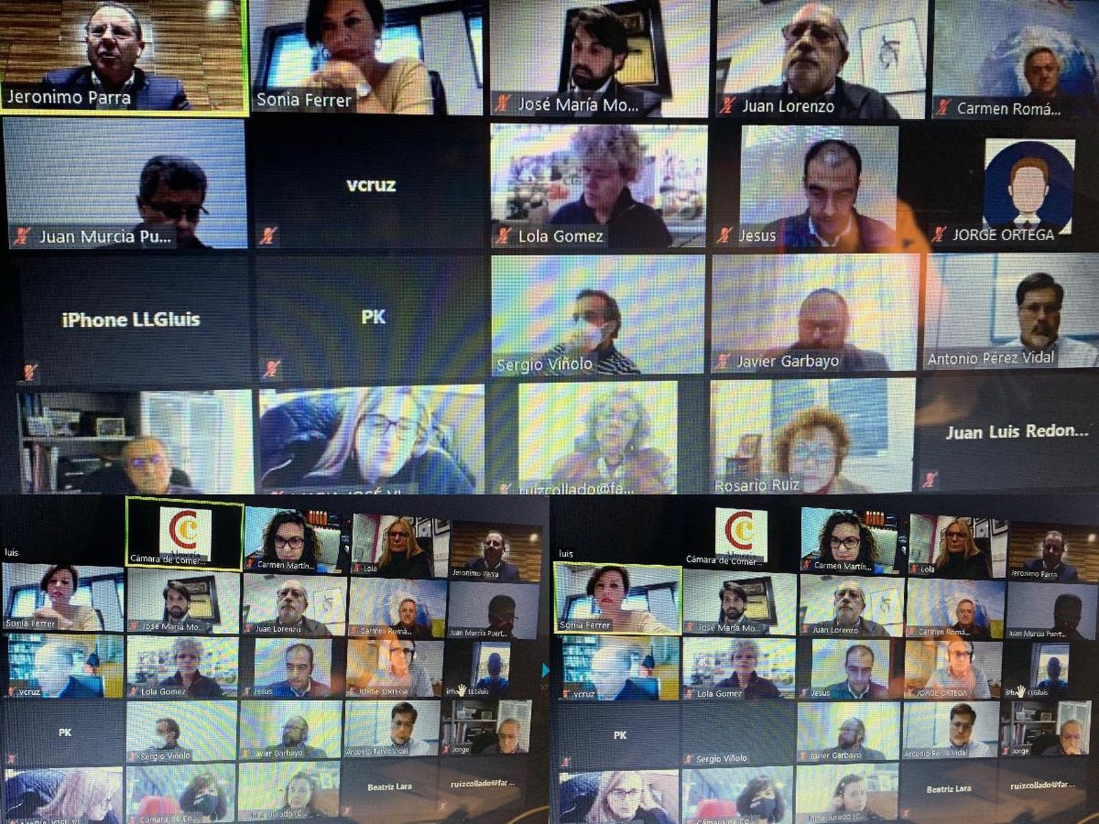 Reunión telemática de Sonia Ferrer con la Cámara de Comercio y sus empresarios.