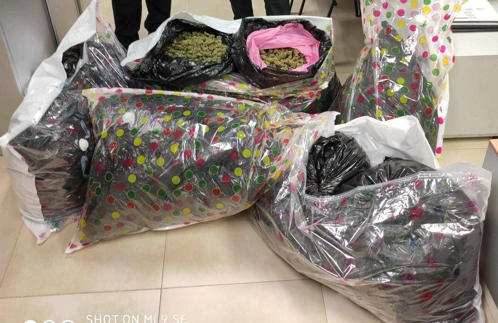 Los 43 kilos de cogollos de marihuana incautados en El Palmar de Troya.