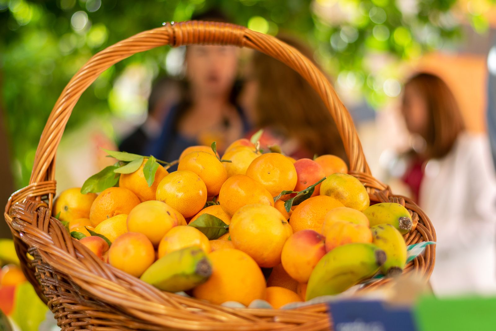 La Junta acoge una jornada para la promoción del consumo de fruta entre sus profesionales