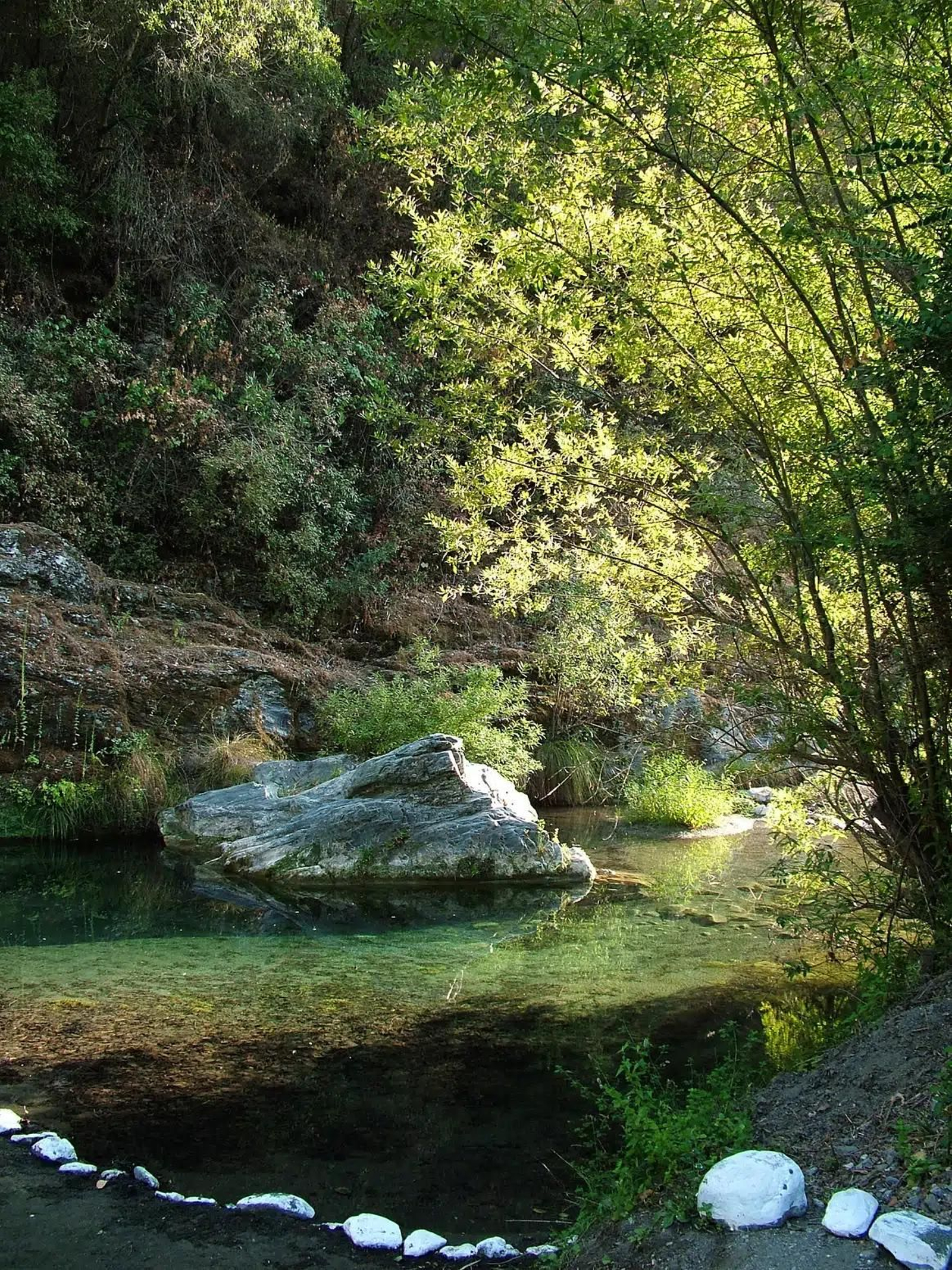 Una imagen del Charco Esteban y el verde que le rodea.