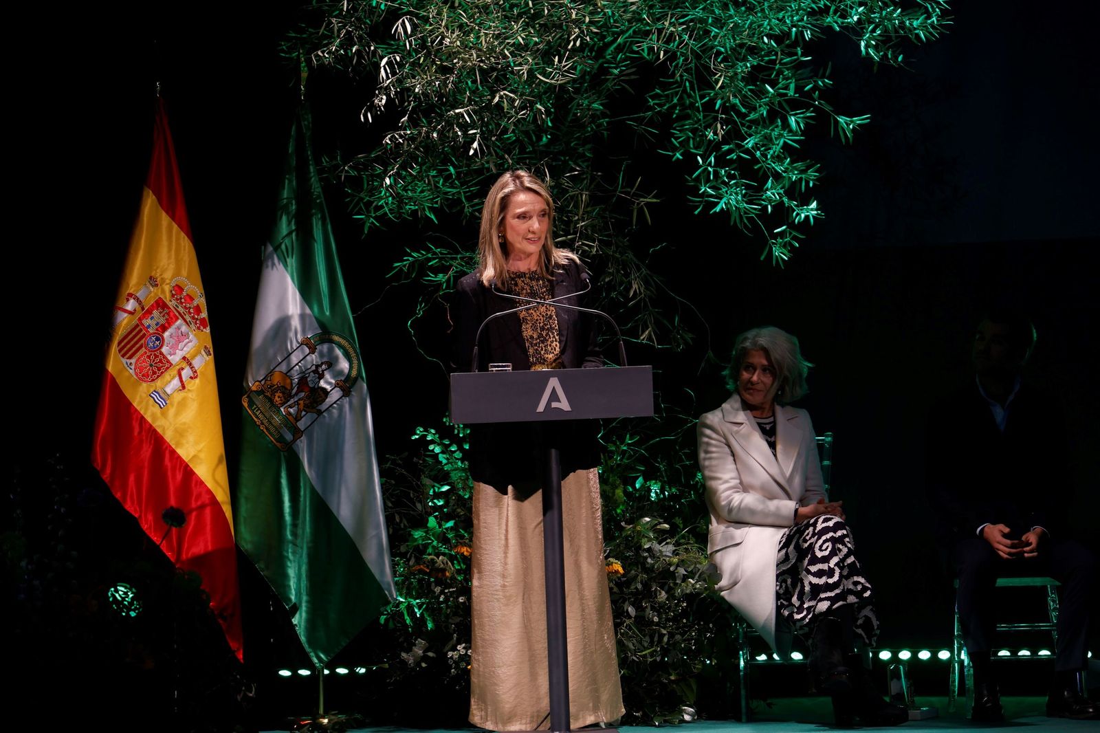 La entrega de las Banderas de Andalucía por el 28F en Córdoba, en imágenes