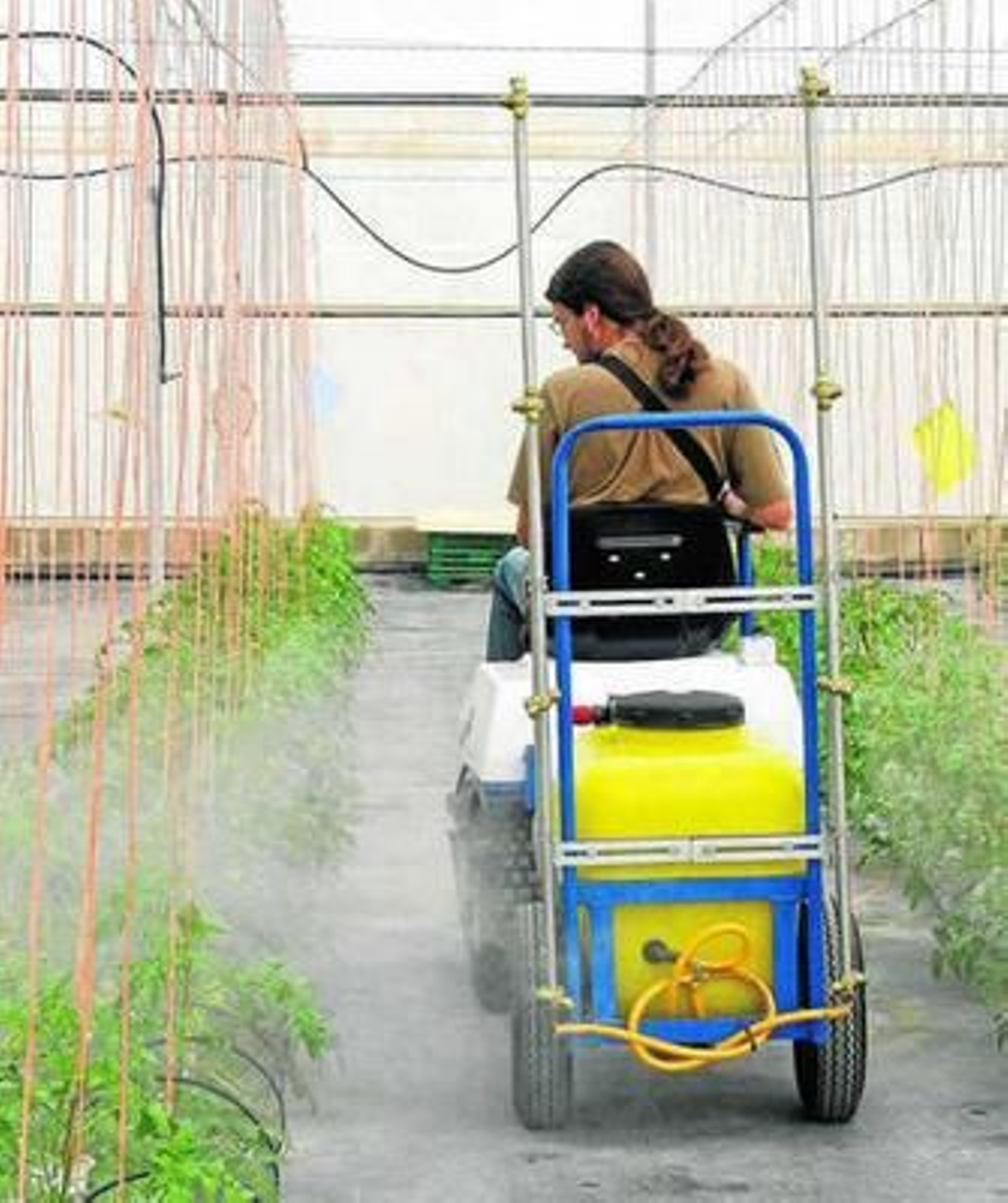 La aplicación de fitosanitarios, uno de los requisitos de las certificaciones.