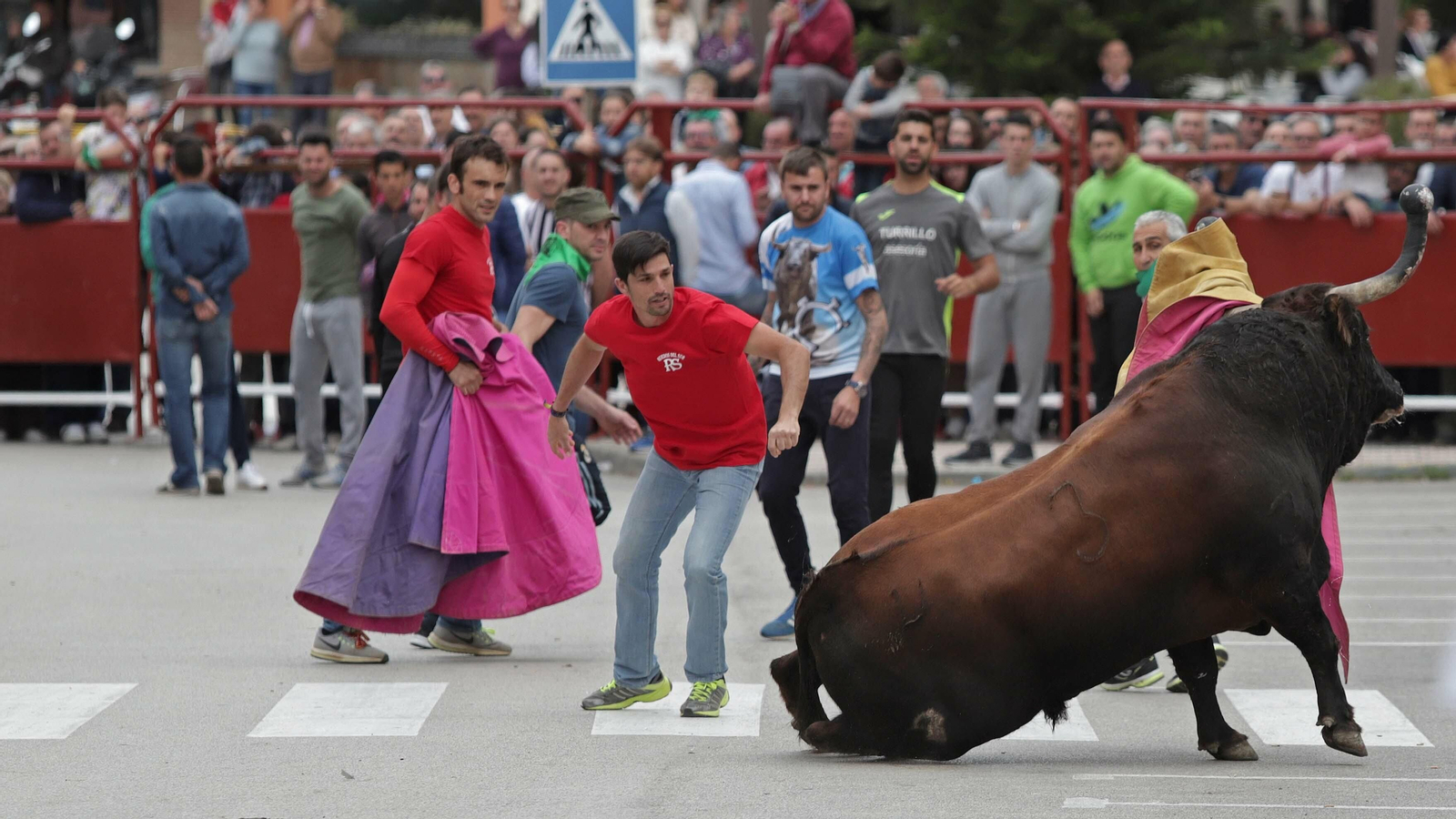 Imágenes del Toro Embolao de Los Barrios