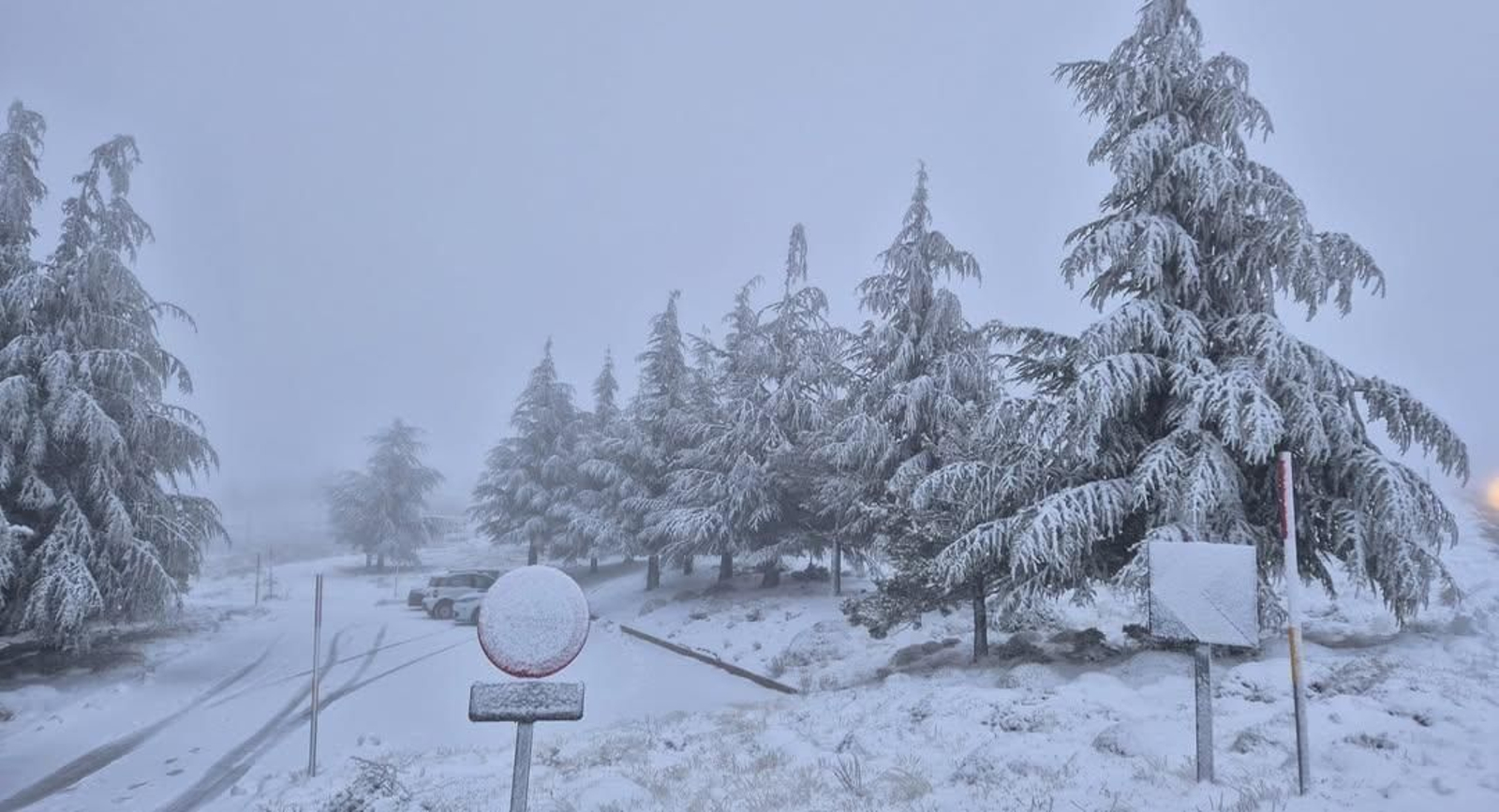 ❄️ El observatorio se viste de invierno con unos 4 cm de nieve- un paisaje de postal que quita e (1)