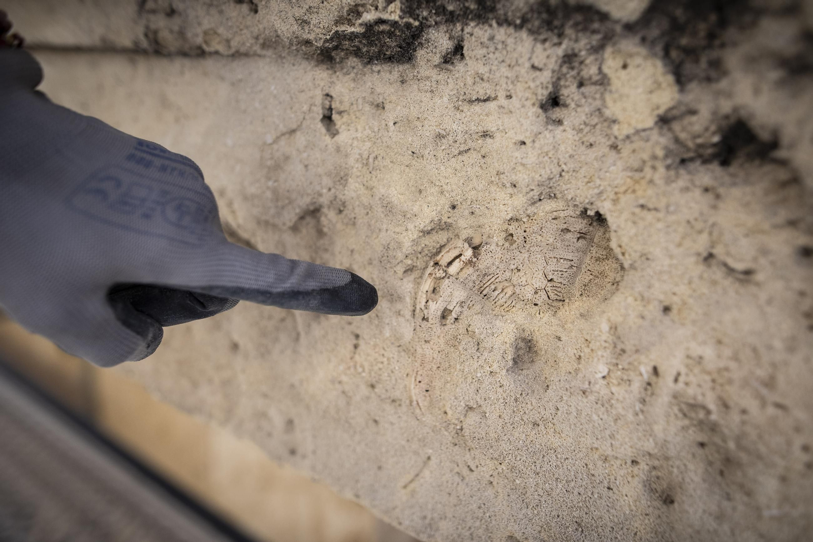 La restauración de la torre de la Catedral de Granada, desde dentro