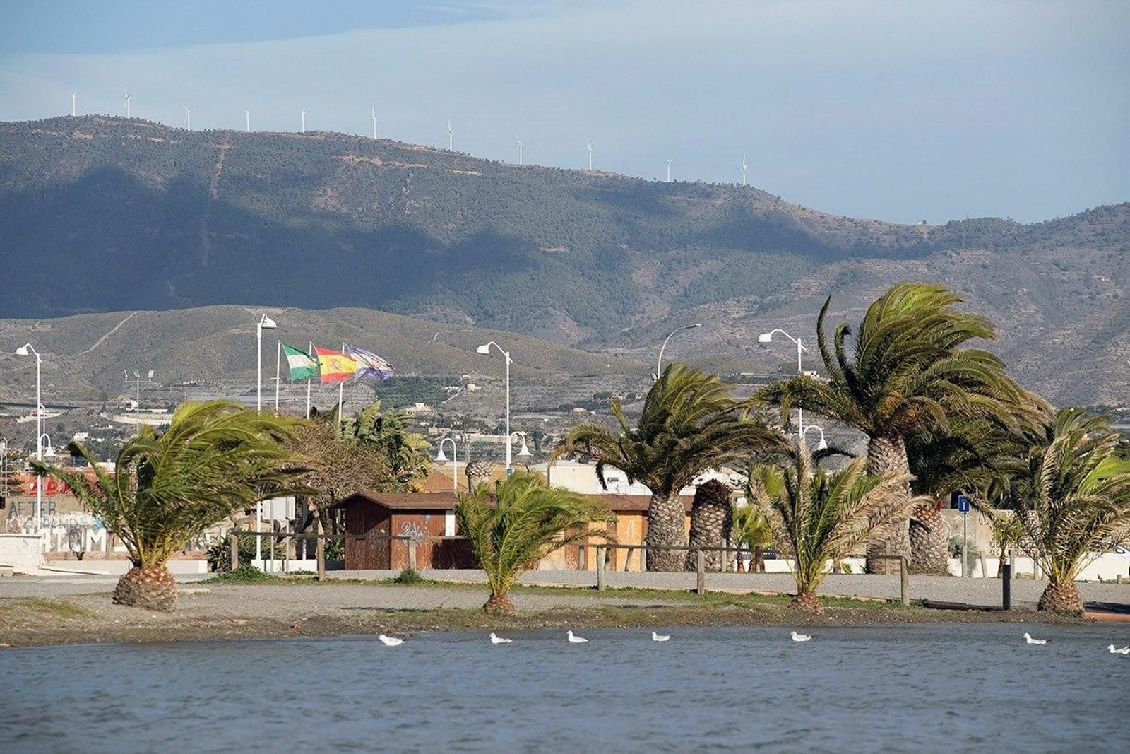 Se esperan rachas de viento entre 70 y 90 kilómetros por hora
